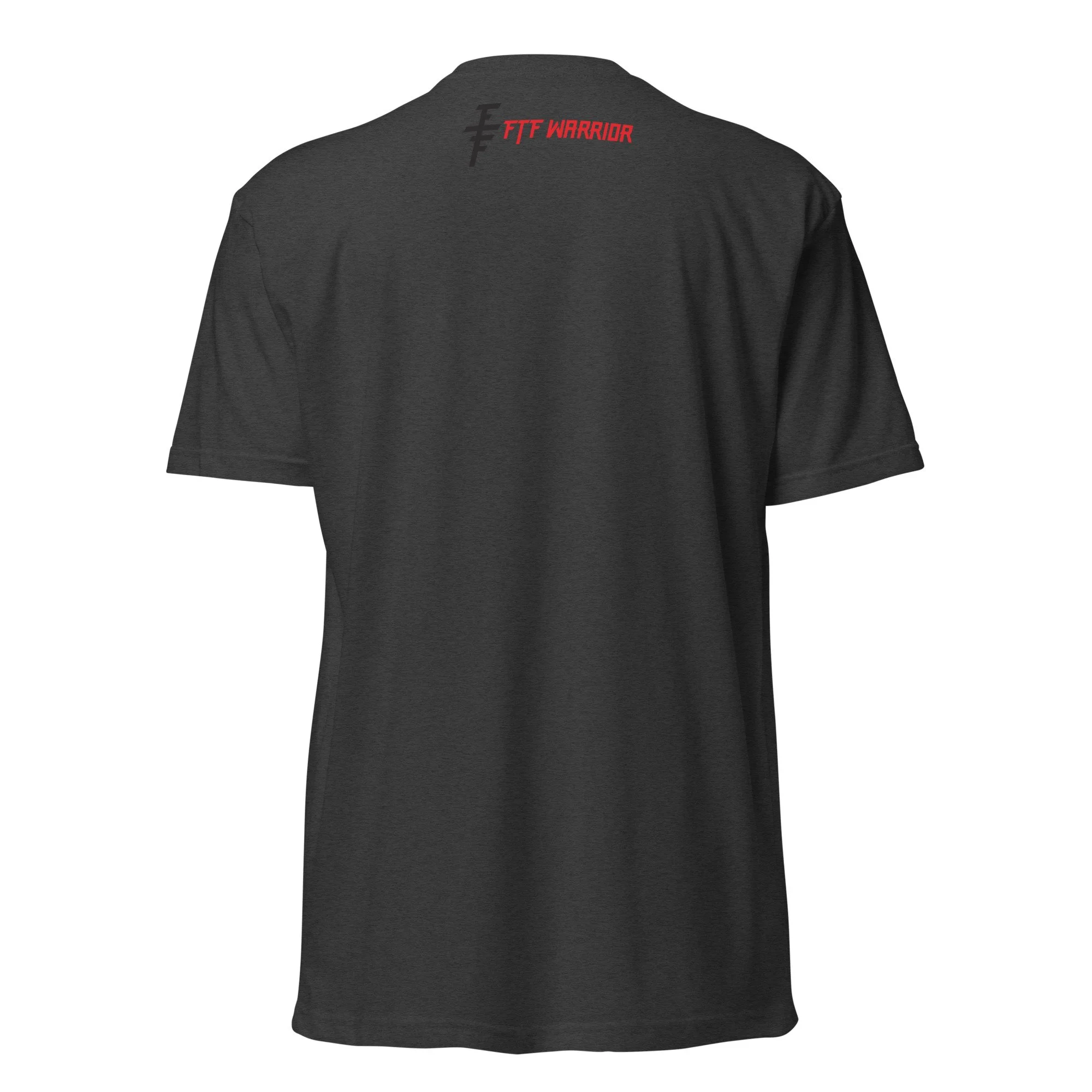 unisex-cvc-t-shirt-charcoal-back-69ea80b1bf6f9.jpg