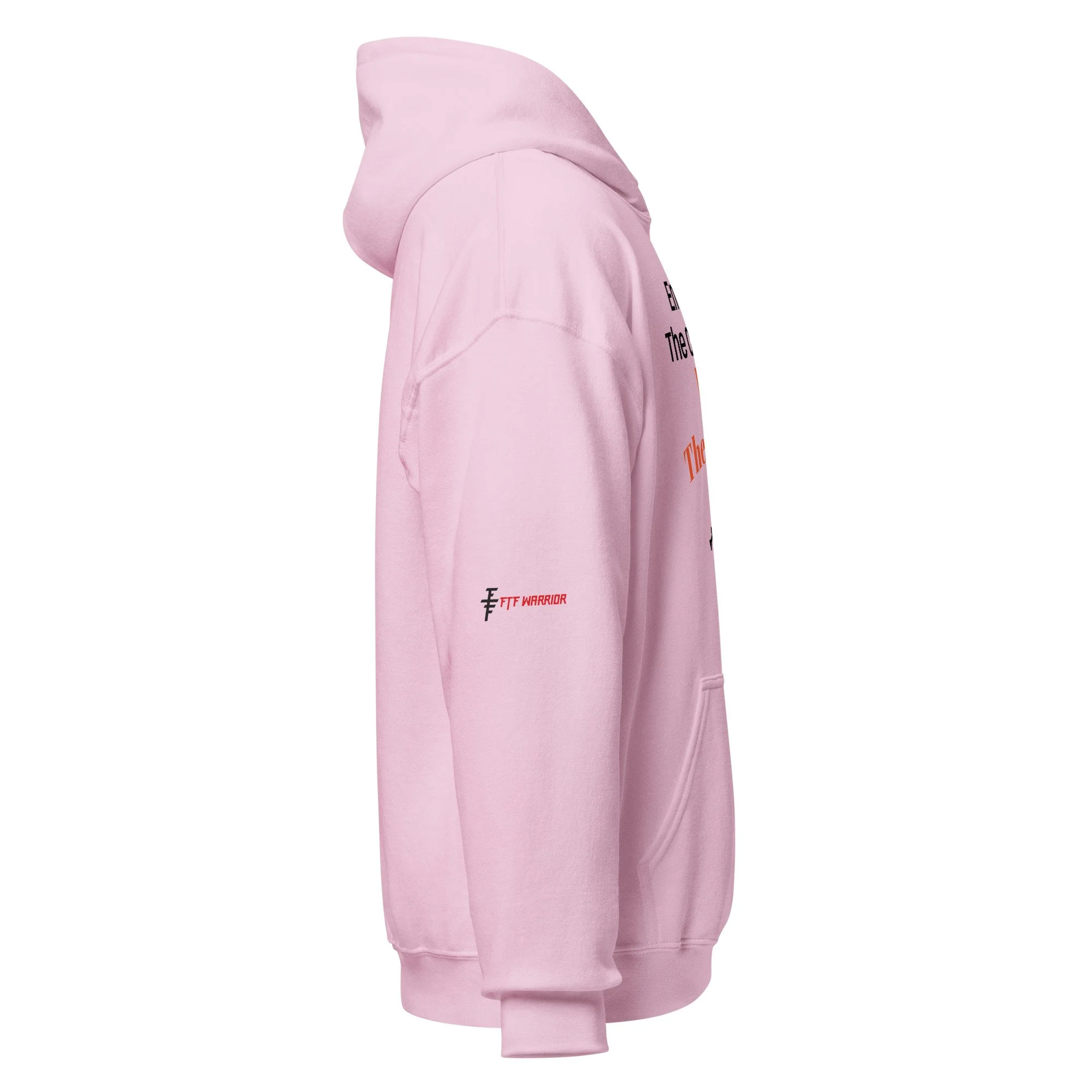 unisex-heavy-blend-hoodie-light-pink-right-69f3adc953b80.jpg