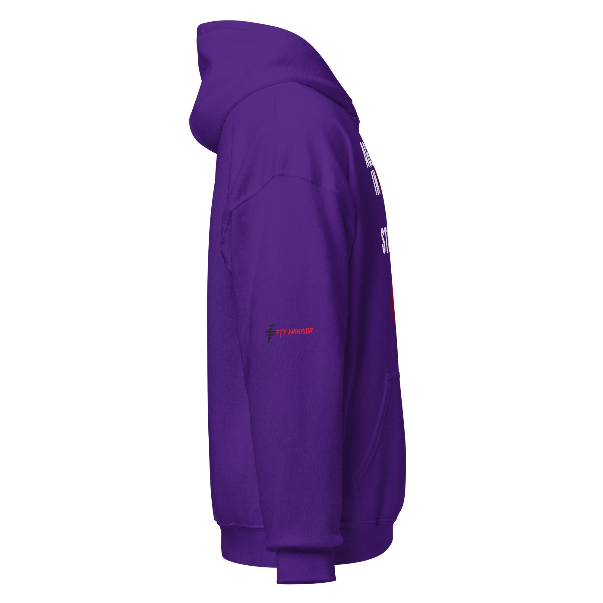 unisex-heavy-blend-hoodie-purple-right-69f3af0bb54a9.jpg