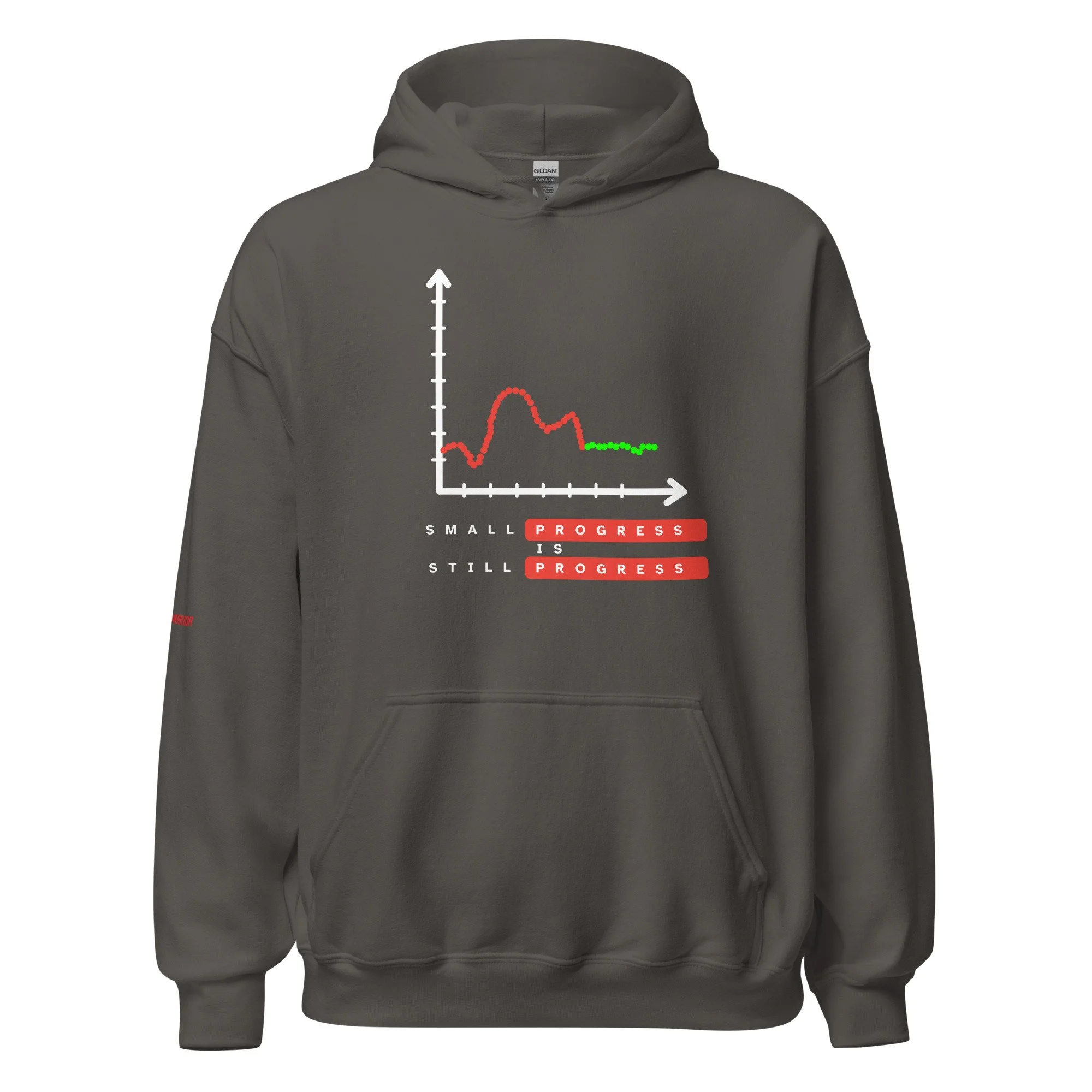 unisex-heavy-blend-hoodie-charcoal-front-69f3c2fc5aabd.jpg
