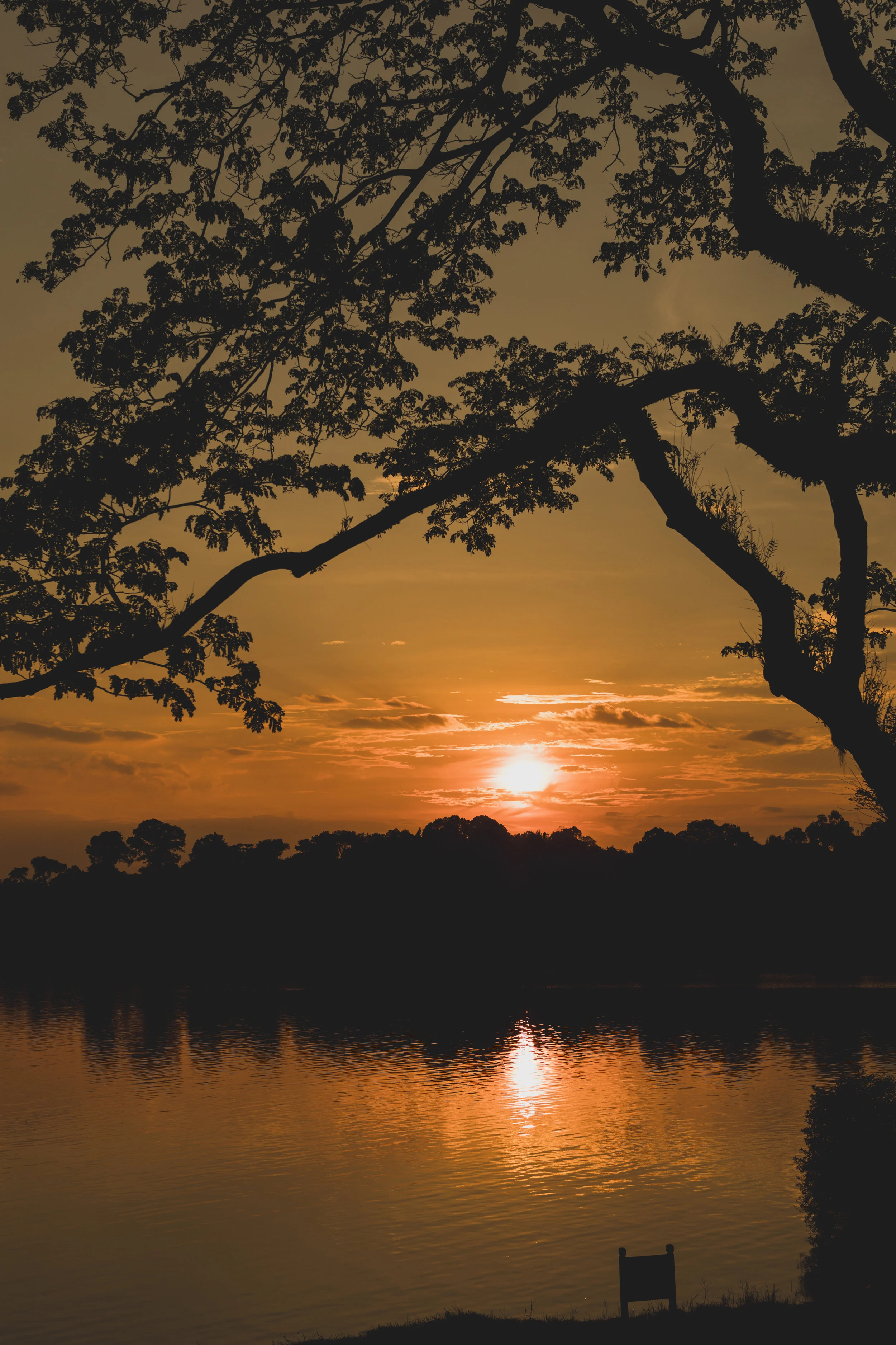 Lower Seletar Sunset 