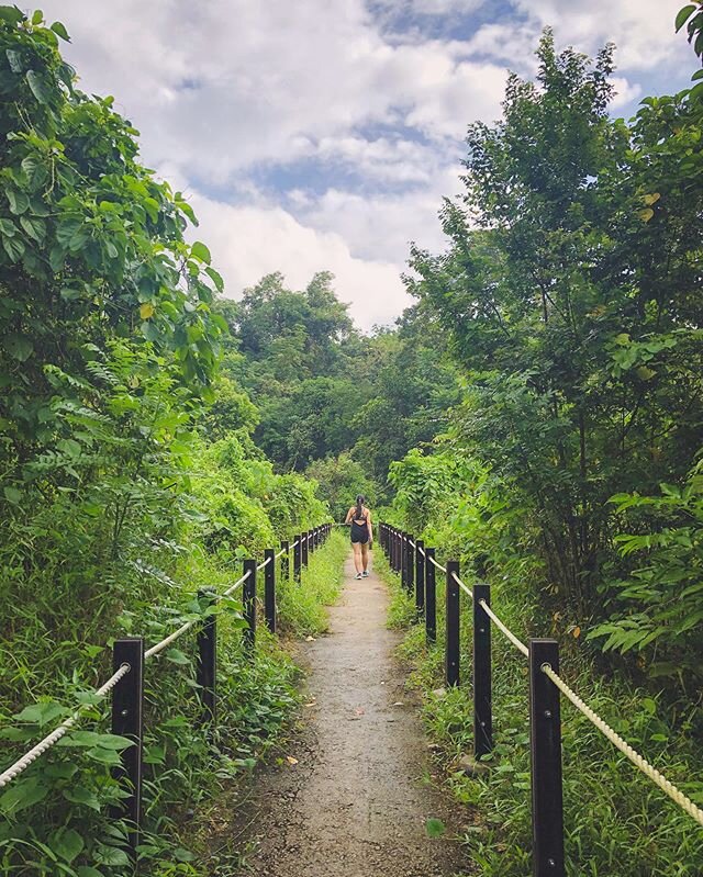 Day 61: Walks in the park with Le Wife 😊 #shotoniphone #naturewalks