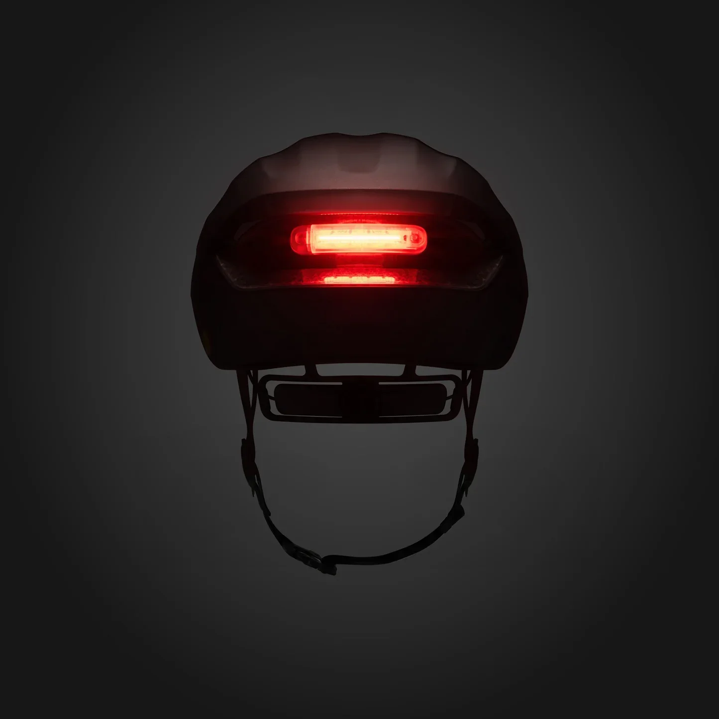 Fizik helmet back.webp