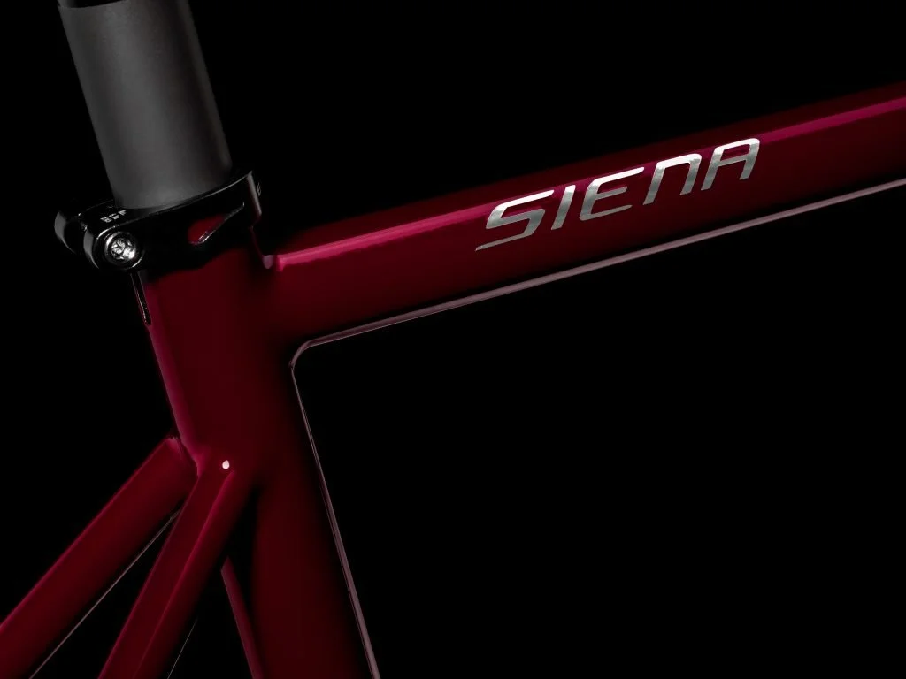 battaglin-siena-steel-all-road-bike-2-1024x768.jpg