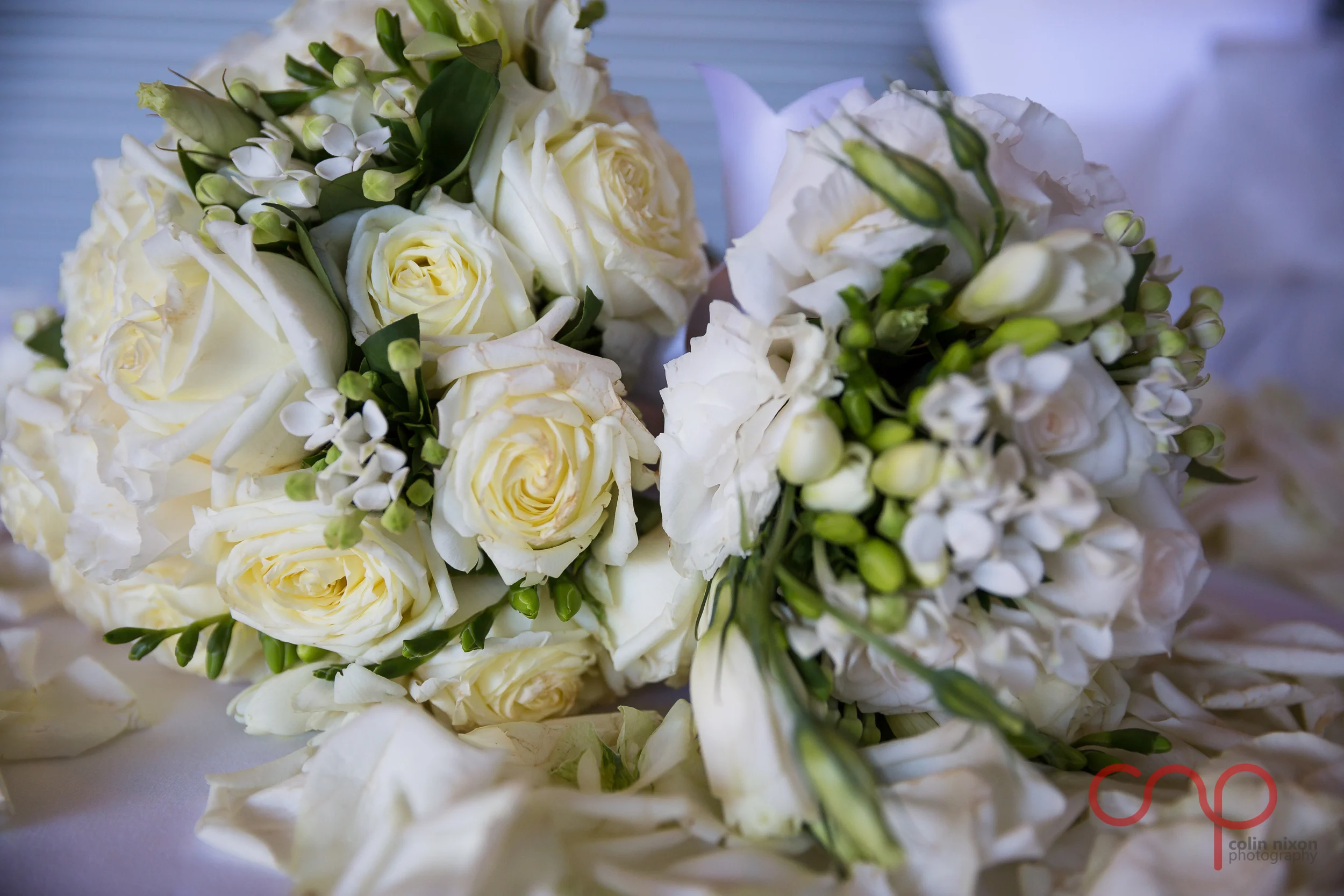 Mei_Rocky (98 of 145).jpg