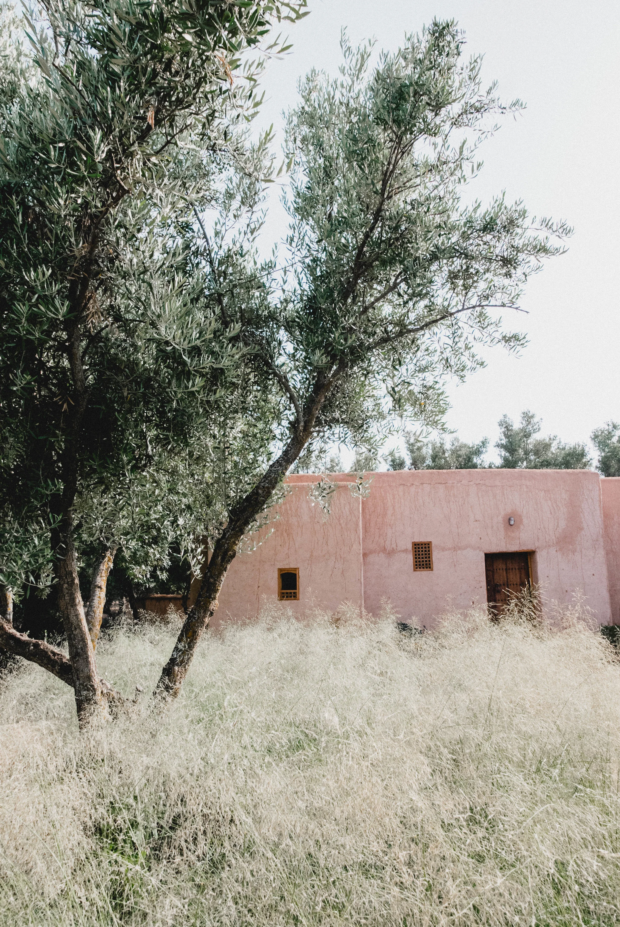 Image Berber Lodge by Modern Getaways