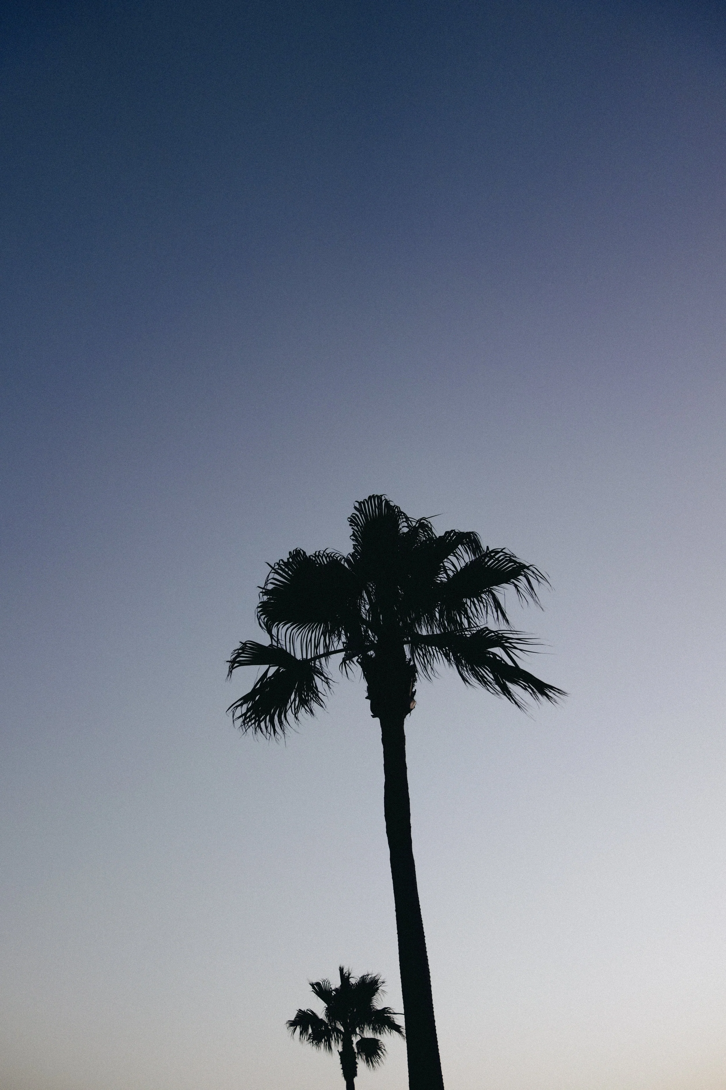 Photo by Cate Misczuk - team Modern Getaways