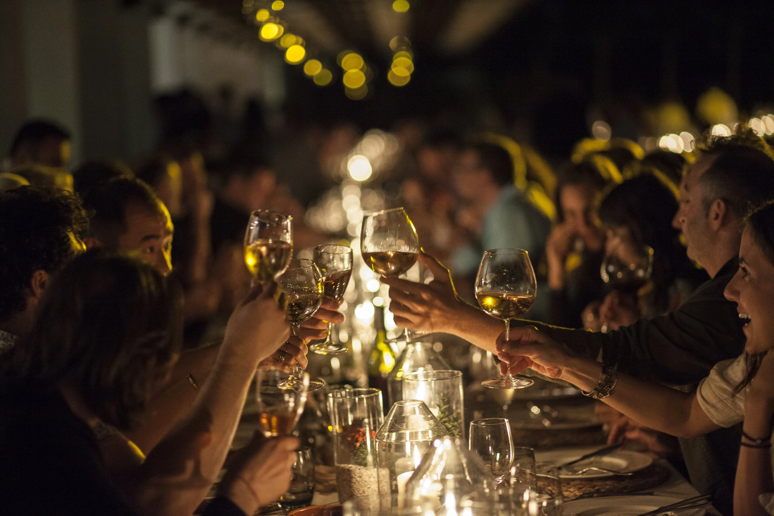 Dinner on Friday night at Harvest Nature 2019