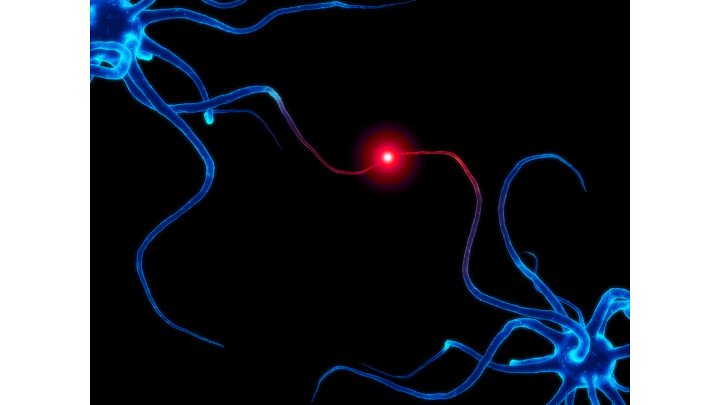 Neuroplasrticity.png