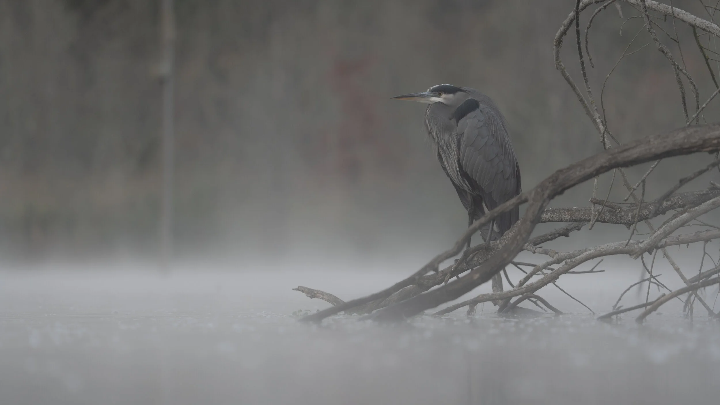 MekunaPhotography8MP (43 of 61).jpg