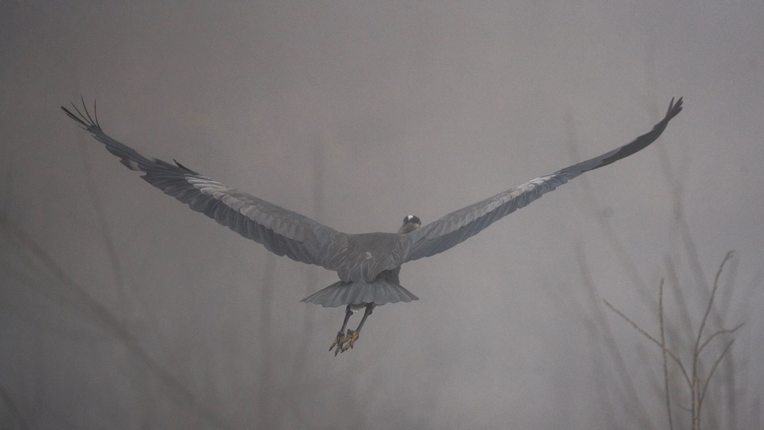 MekunaPhotography8MP (13 of 61).jpg