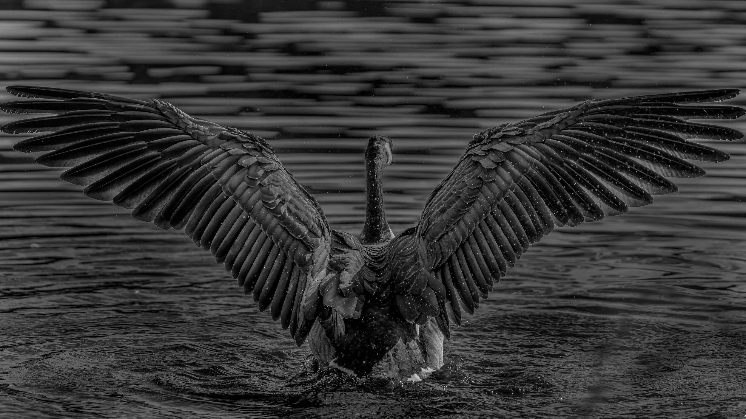 MekunaPhotography8MP (46 of 61).jpg