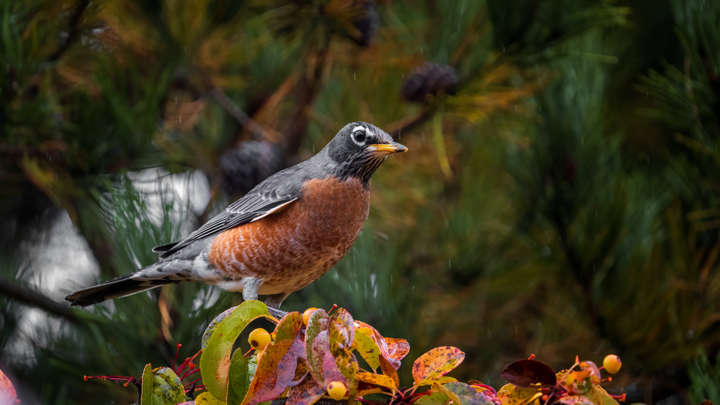 MekunaPhotography8MP (26 of 61).jpg