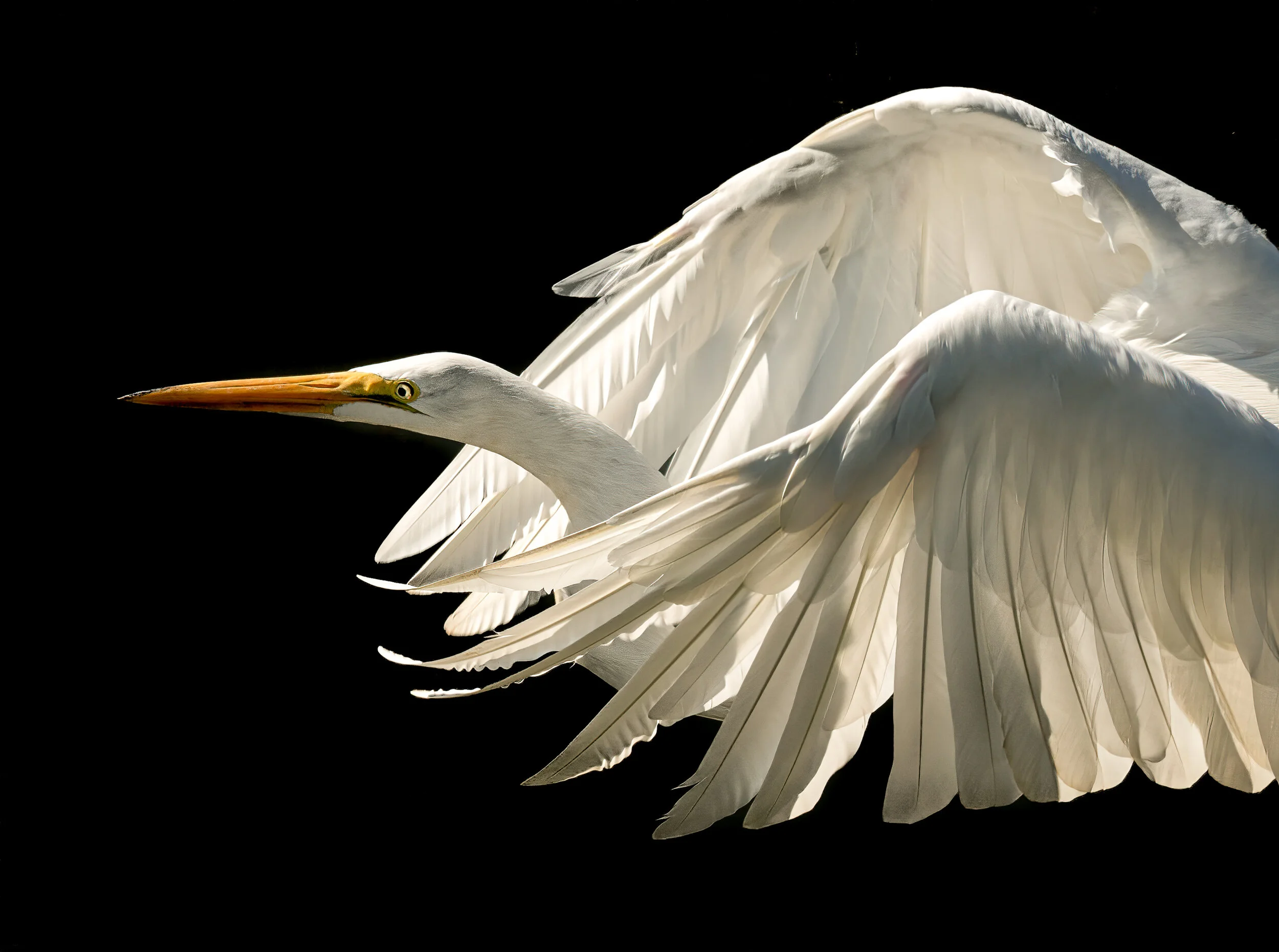 mekunagram (3 of 4).jpg