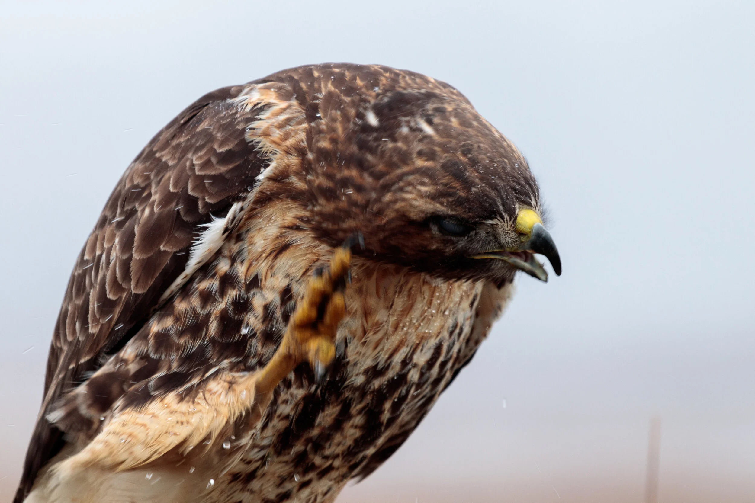 MekunaPhotography8MP (11 of 32).jpg