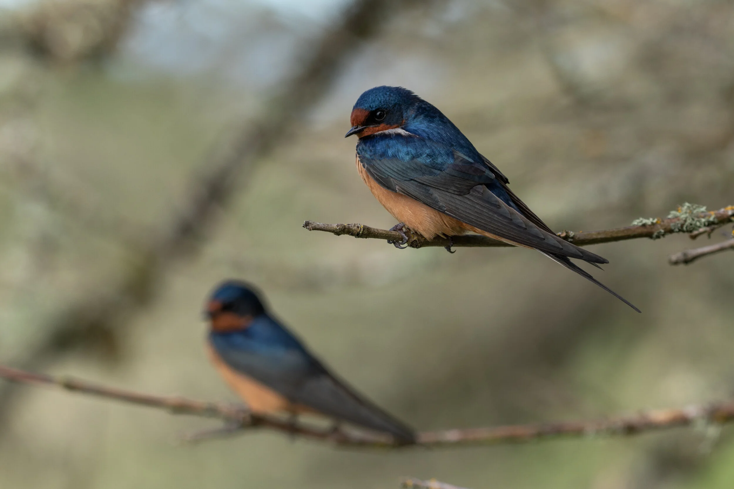 MekunaPhotography8MP (80 of 116).jpg