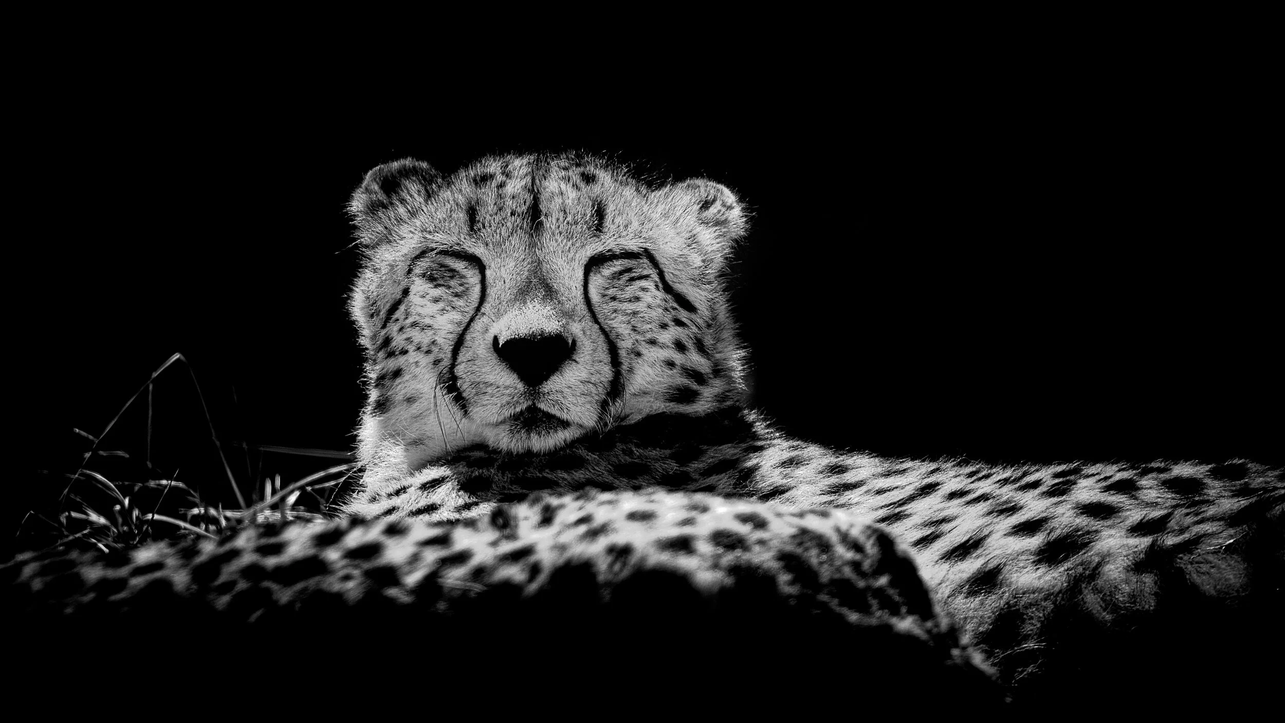 MekunaPhotography8MP (17 of 40).jpg