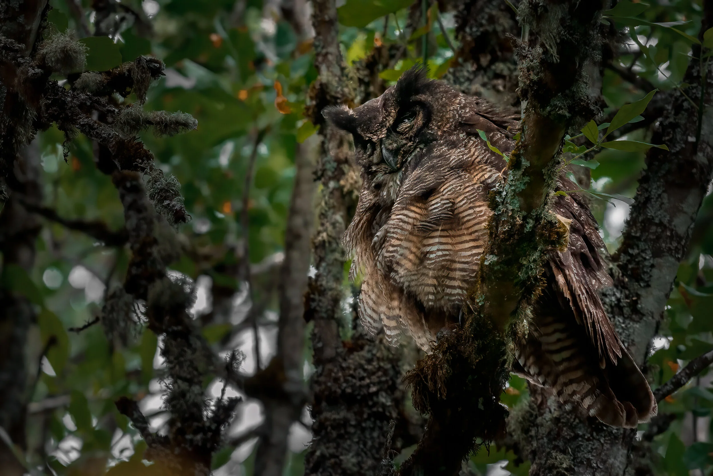 MekunaPhotography8MP (2 of 7).jpg