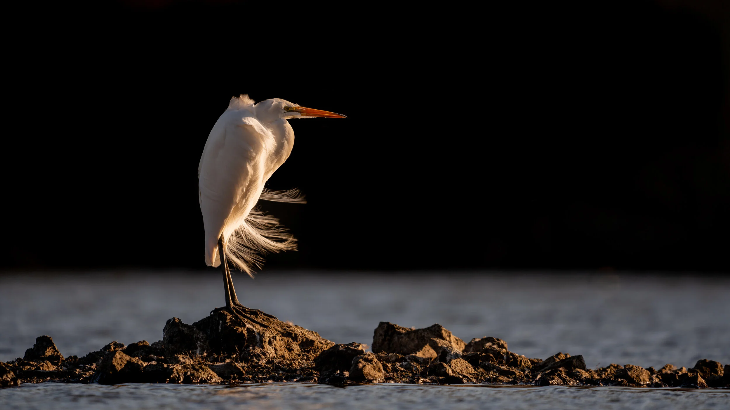 MekunaPhotography8MP (4 of 13).jpg