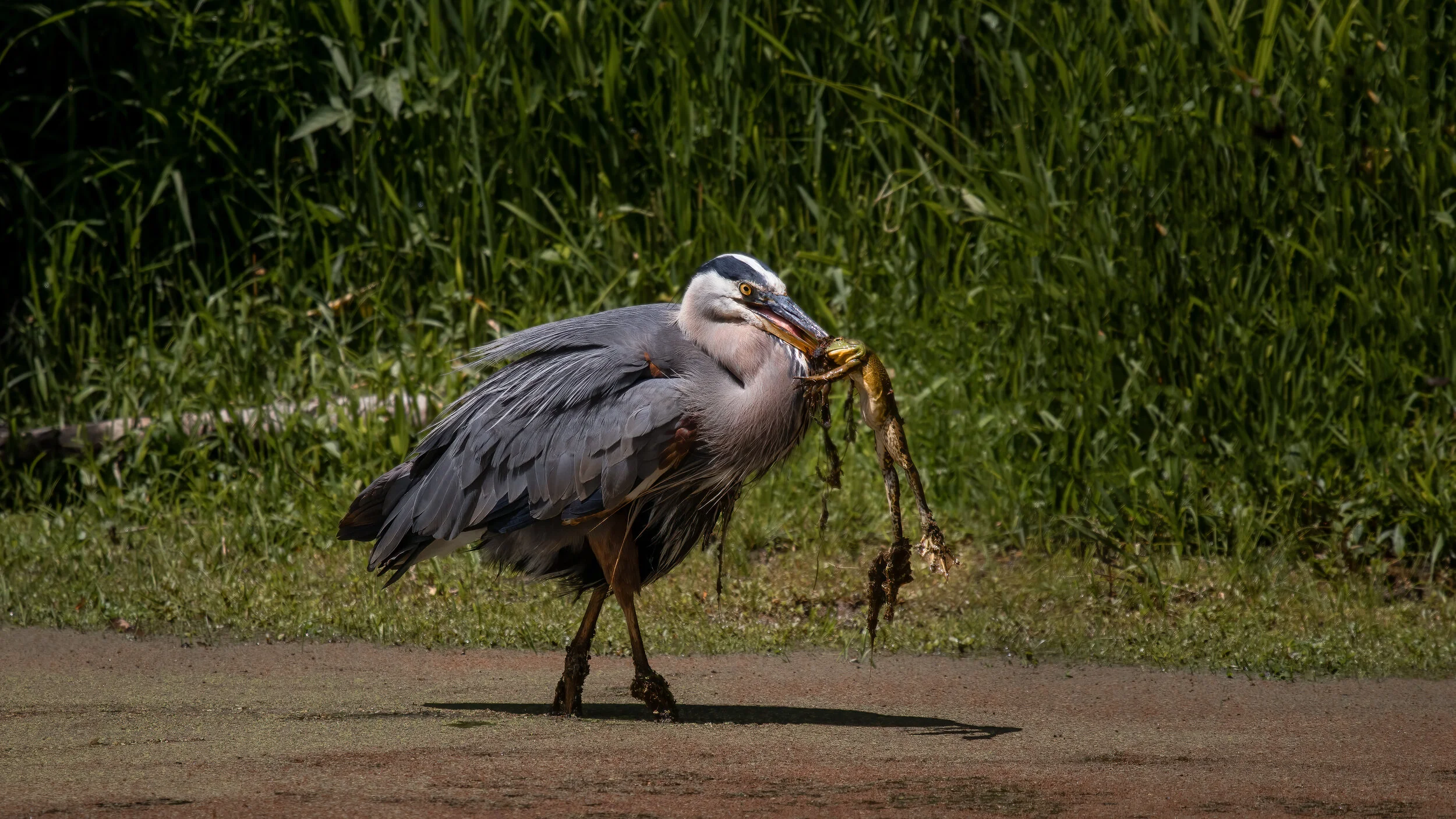 MekunaPhotography8MP (5 of 19).jpg