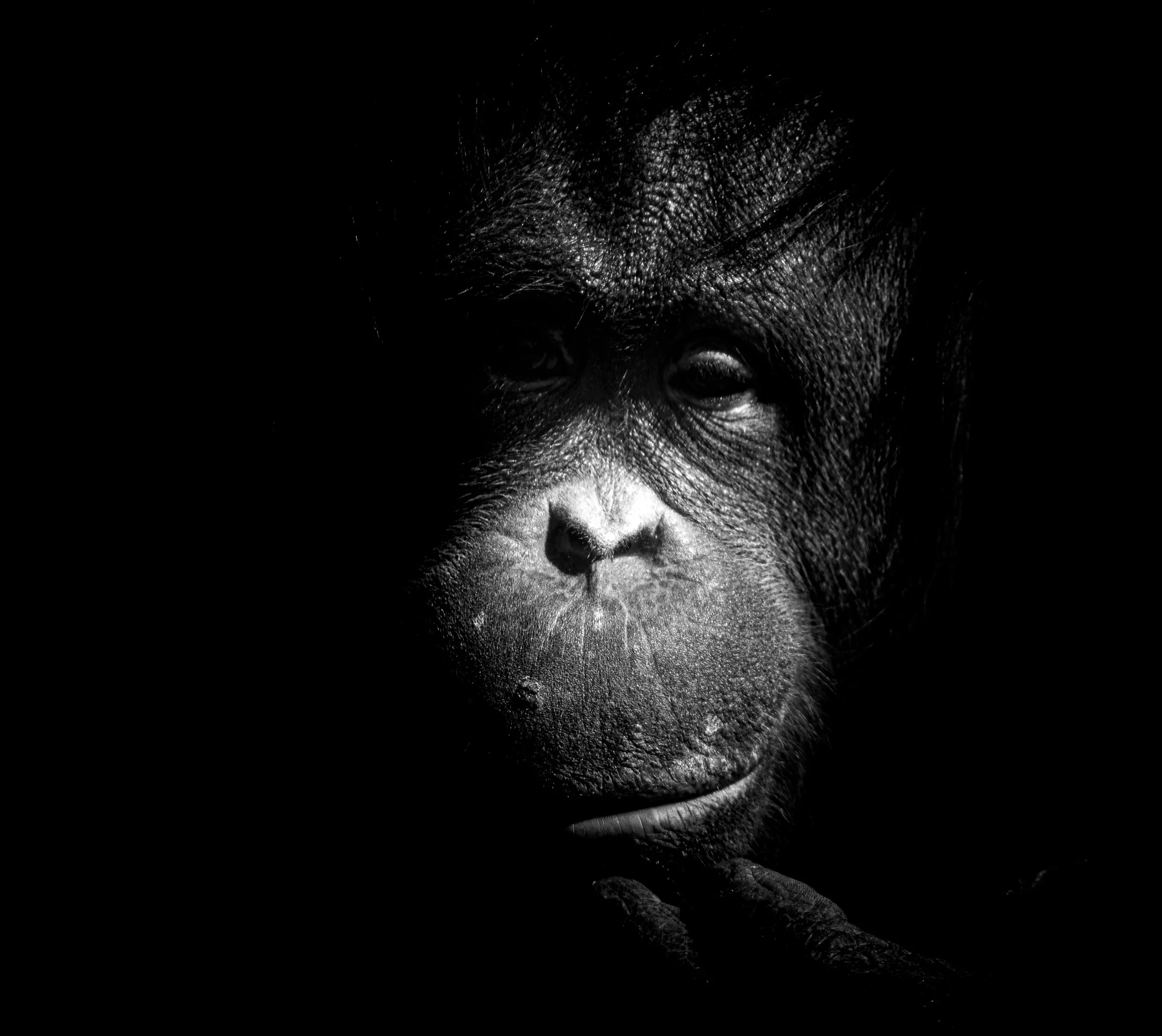 MekunaPhotography8MP (1 of 1)-18.jpg