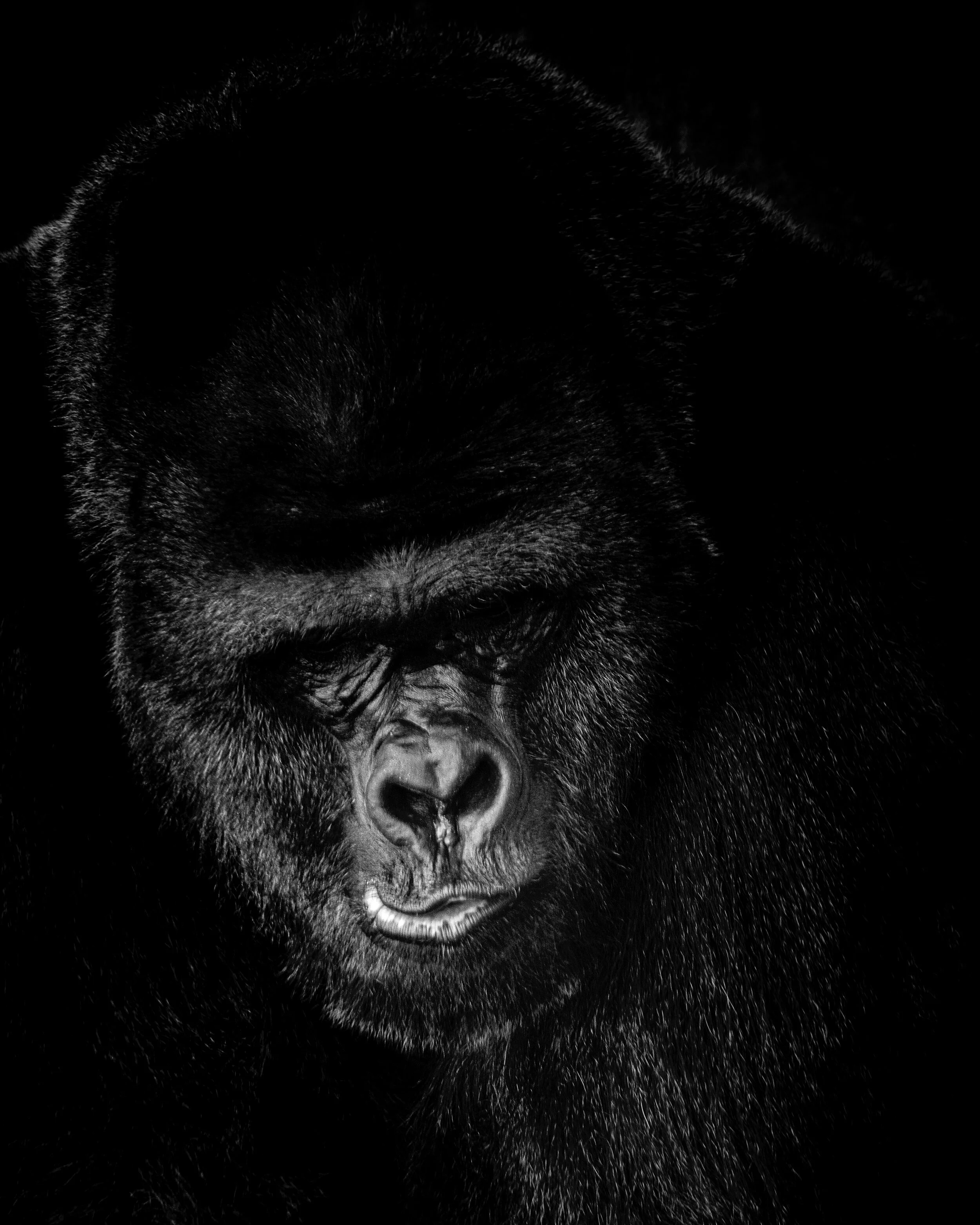 MekunaPhotography8MP (1 of 1)-17.jpg