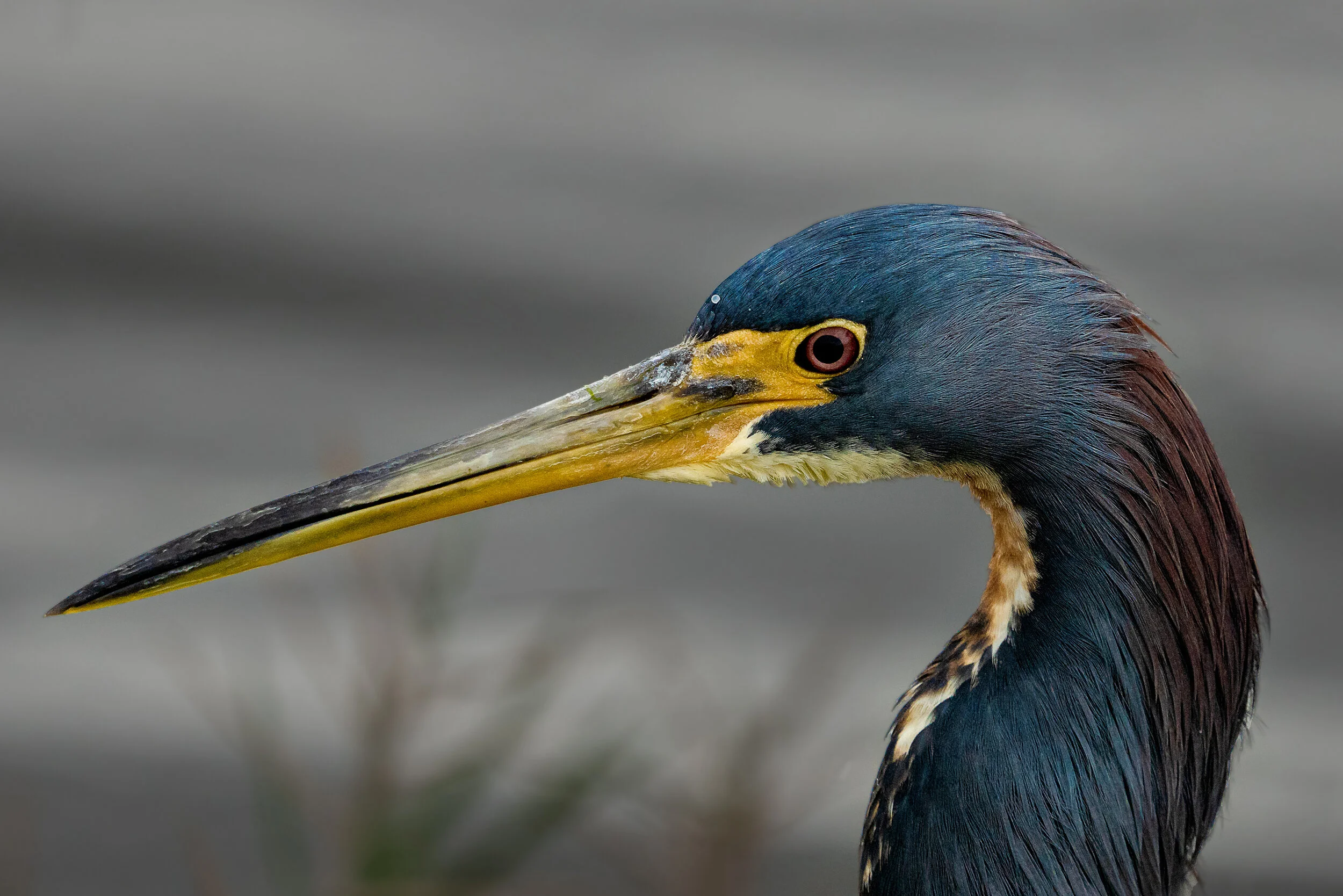 MekunaPhotography8MP (13 of 13)-2.jpg