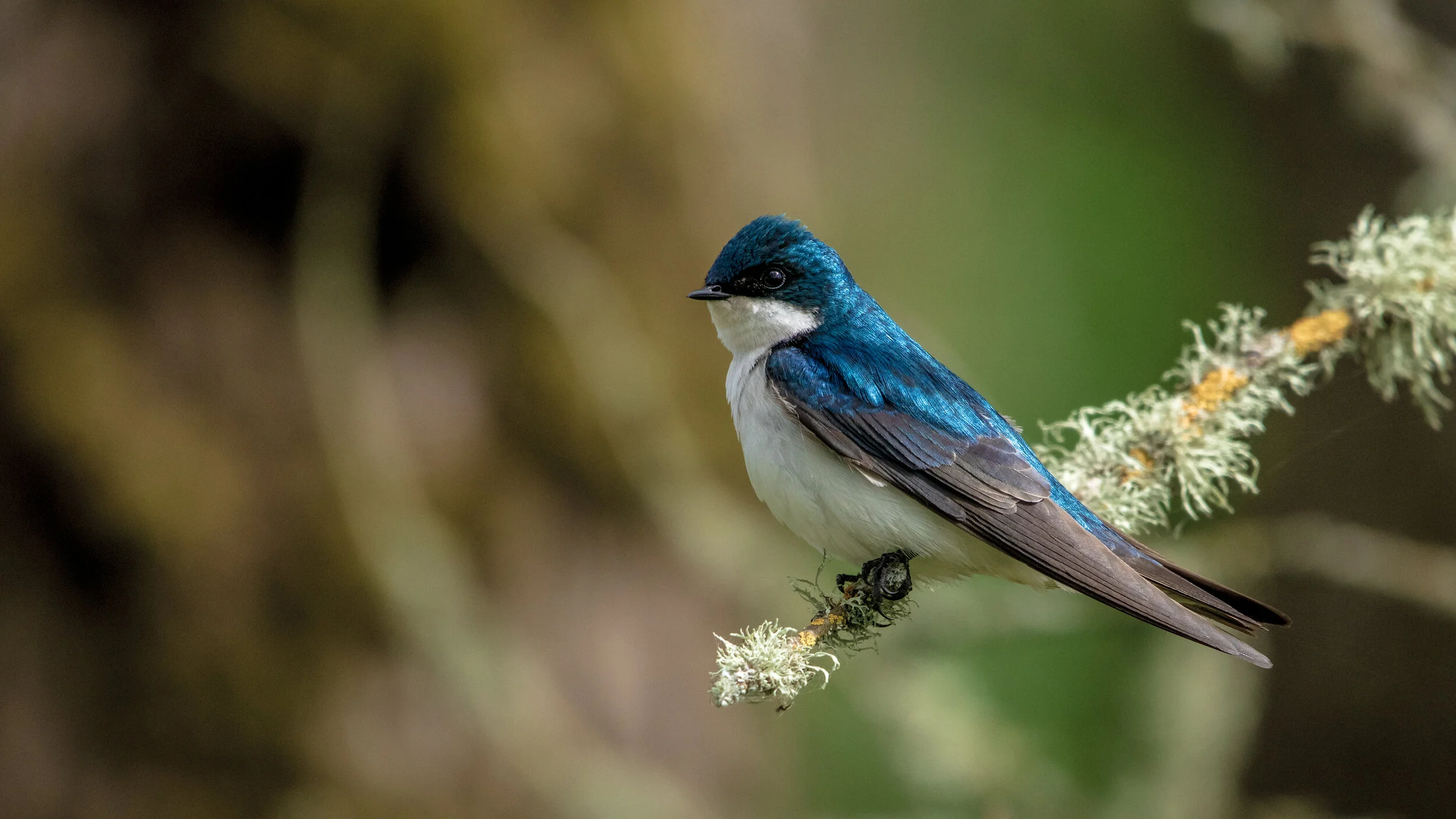 MekunaPhotography8MP (68 of 71).jpg