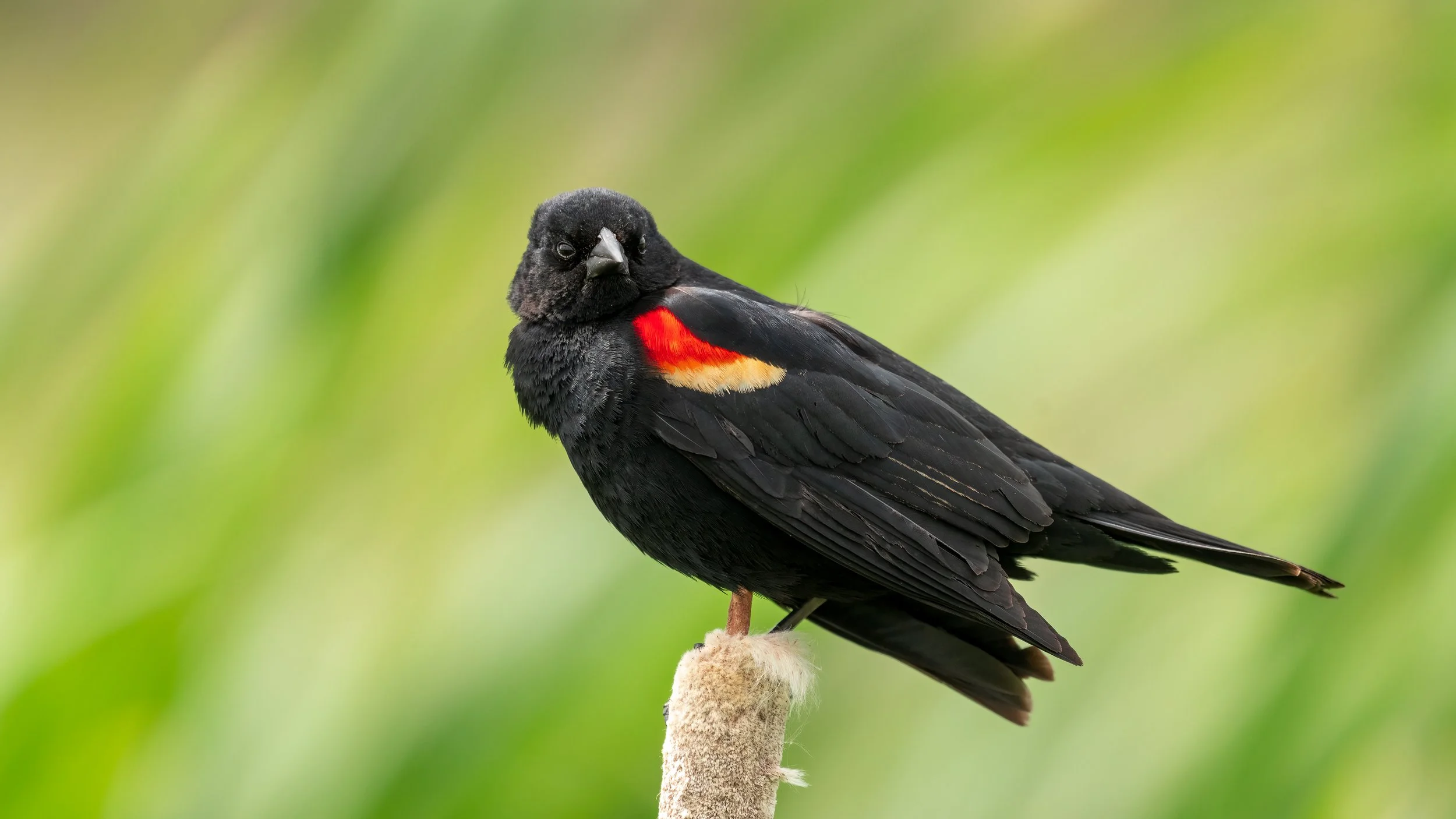 _DSC1500-Edit - Copy - Copy.jpg