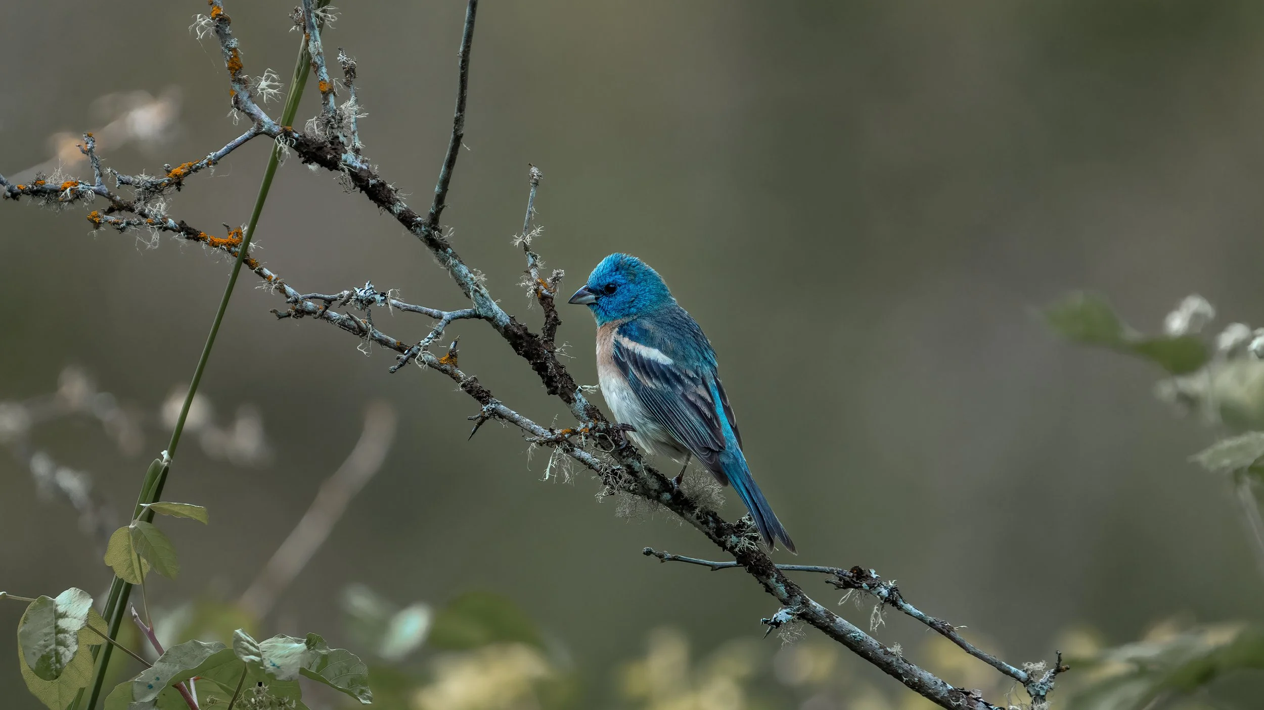 _DSC3120-Edit-Edit - Copy - Copy.jpg