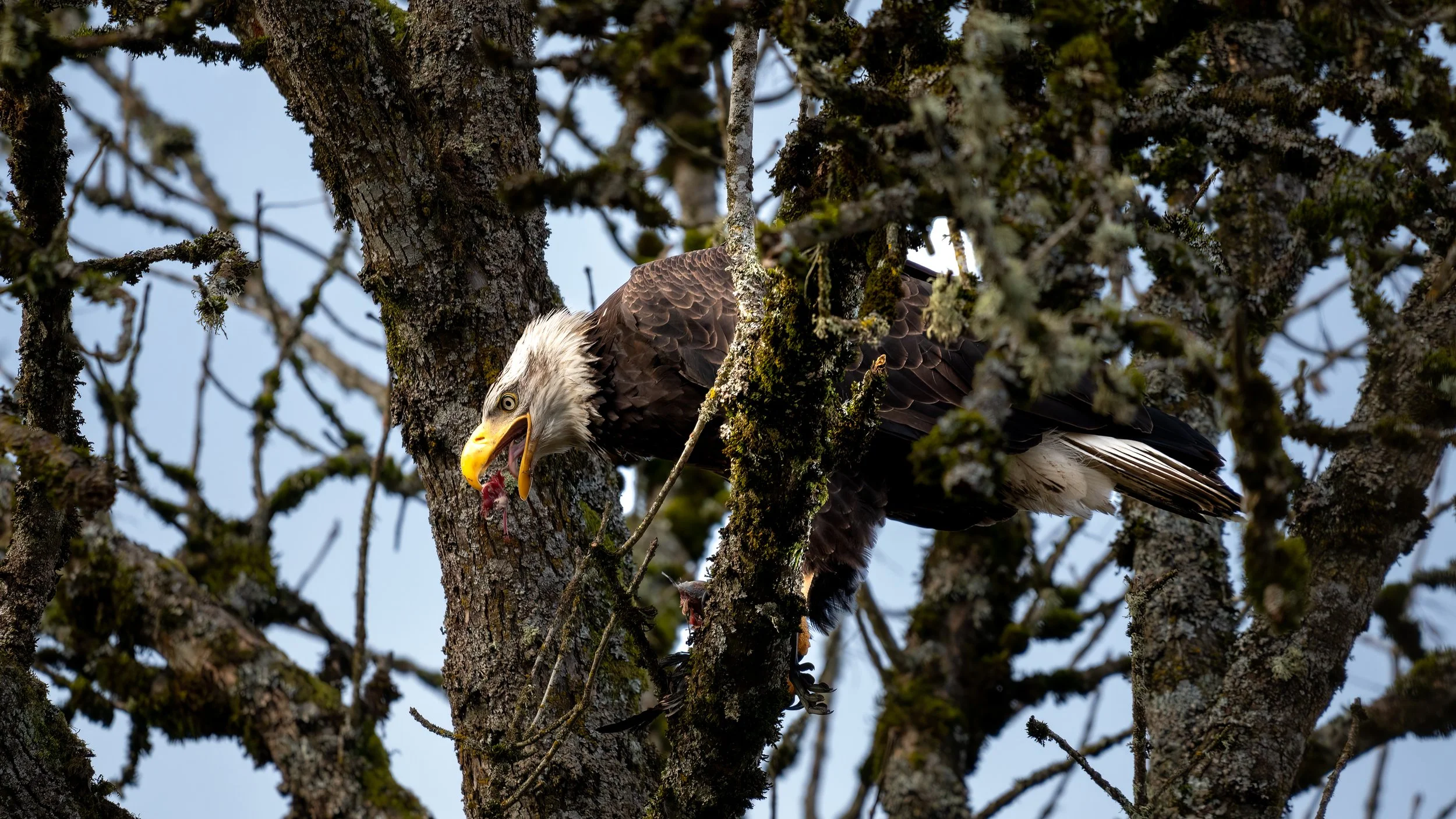 _DSC8320-Edit - Copy - Copy.jpg