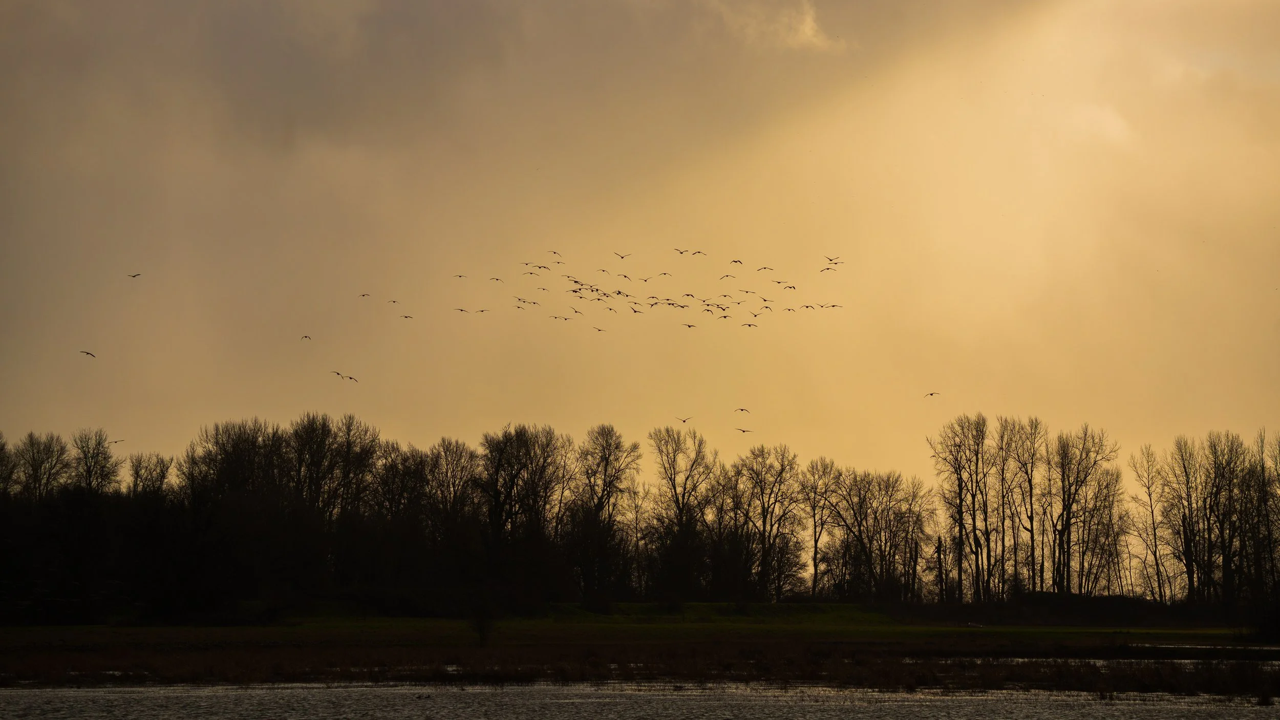 _DSC8476 - Copy - Copy.jpg