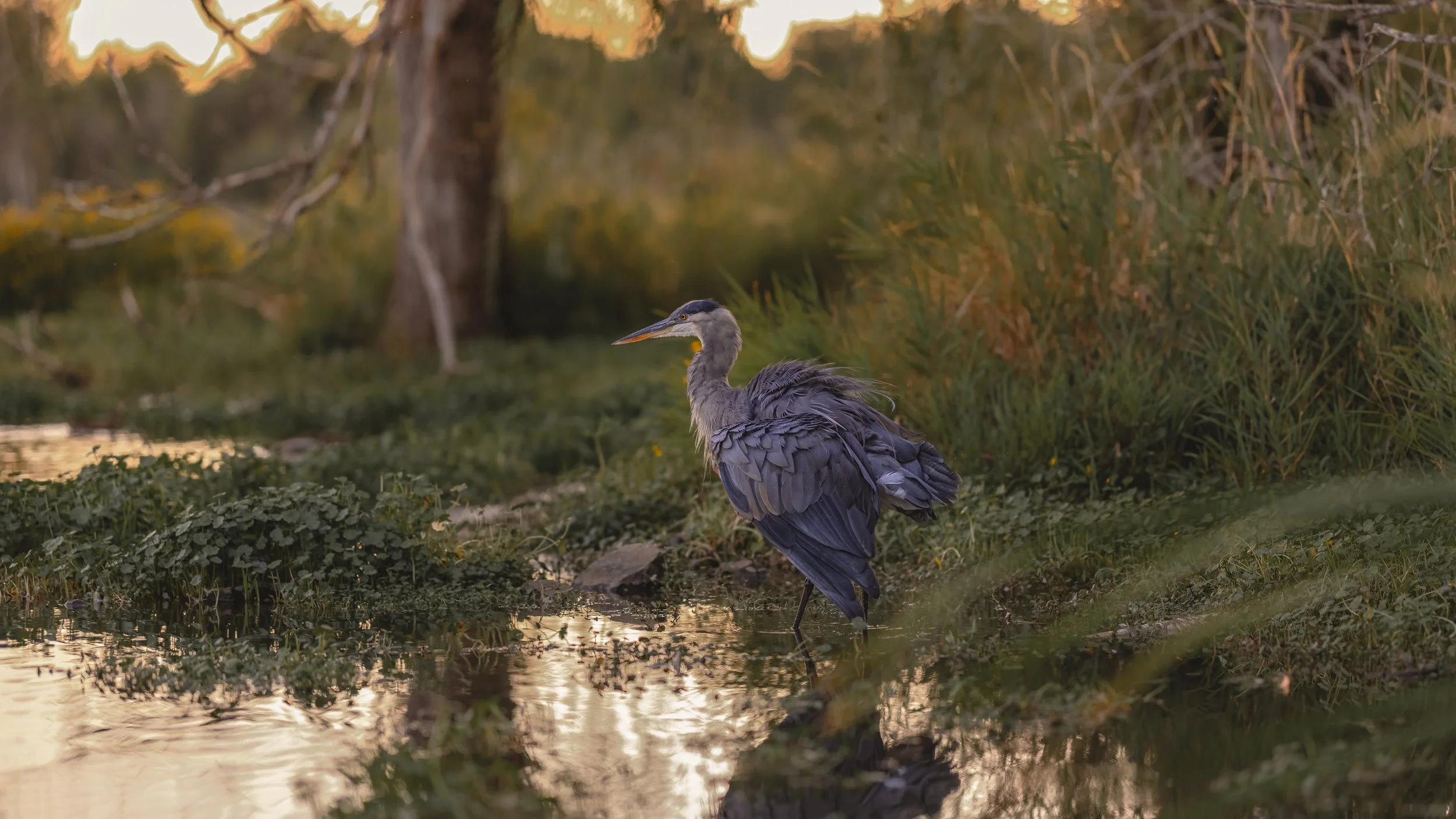 Maxwell Fishback Photography (1 of 1)-9 - Copy - Copy.jpg