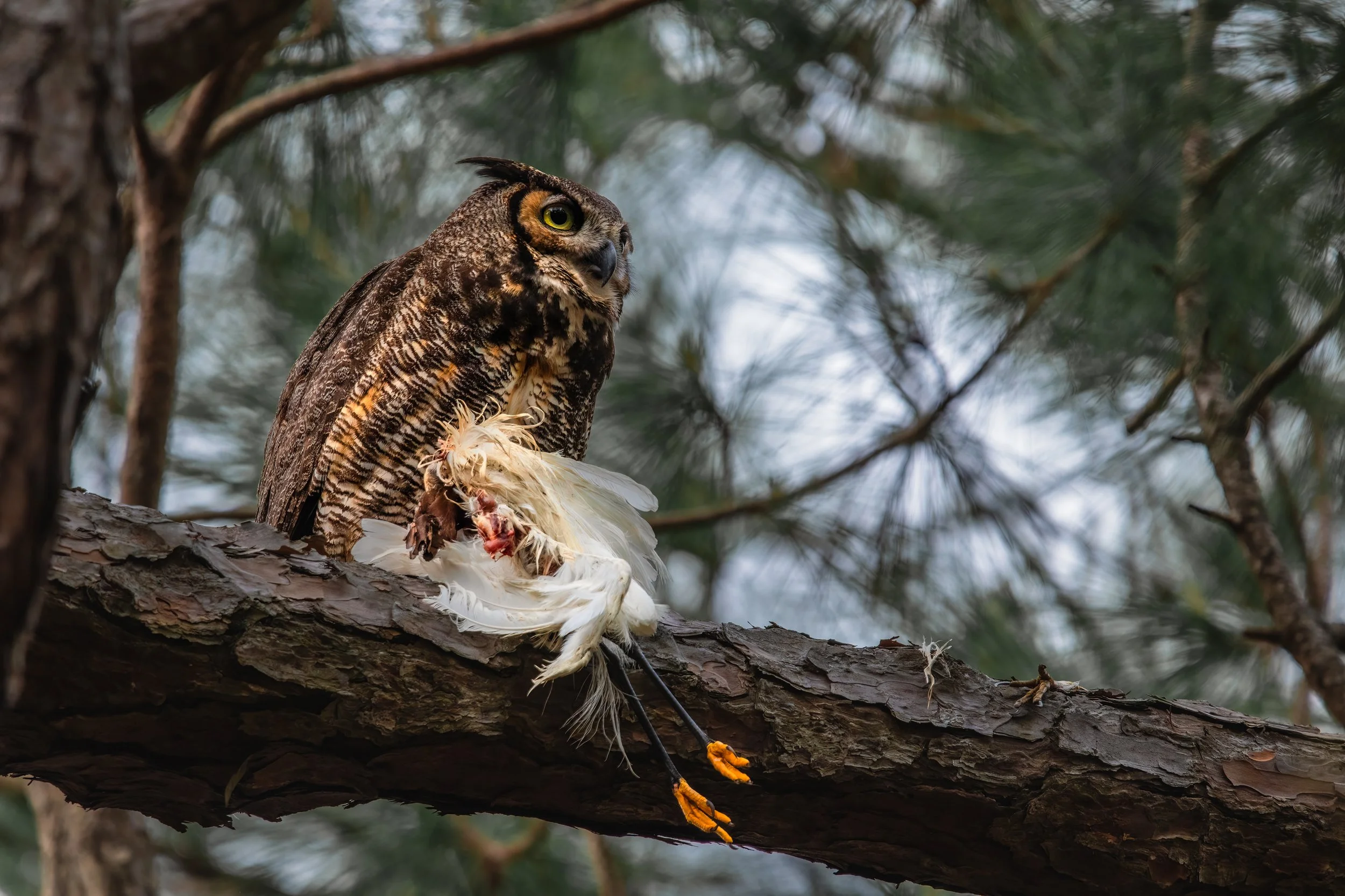 Maxwell Fishback Photography (1 of 1)-45 - Copy - Copy.jpg