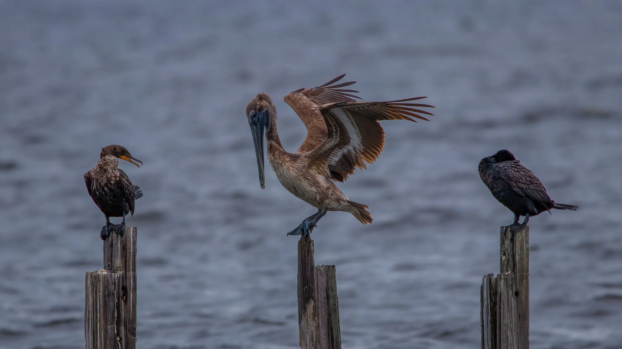 Maxwell Fishback Photography (1 of 1)-48 - Copy - Copy.jpg