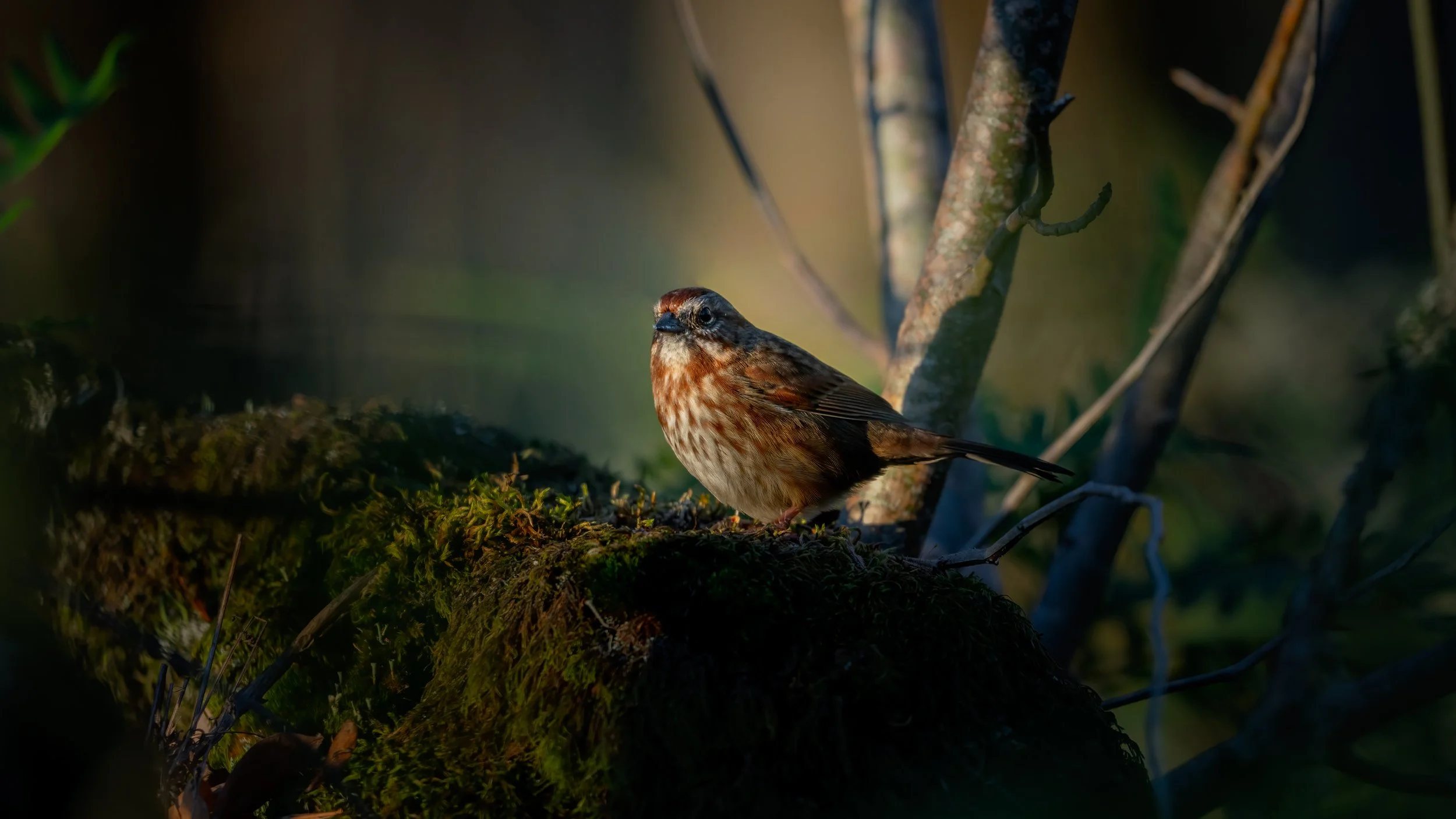 Maxwell Fishback Photography (1 of 1)-53 - Copy - Copy.jpg