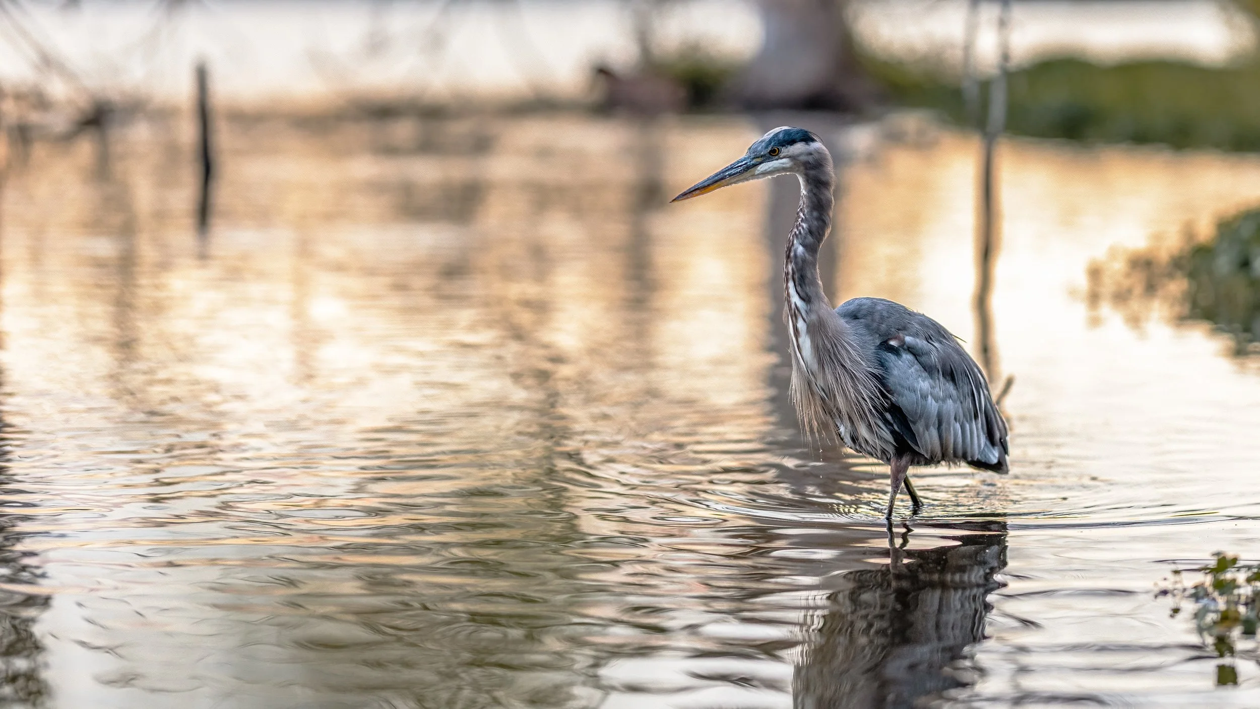 Maxwell Fishback Photography (98 of 133) - Copy - Copy.jpg