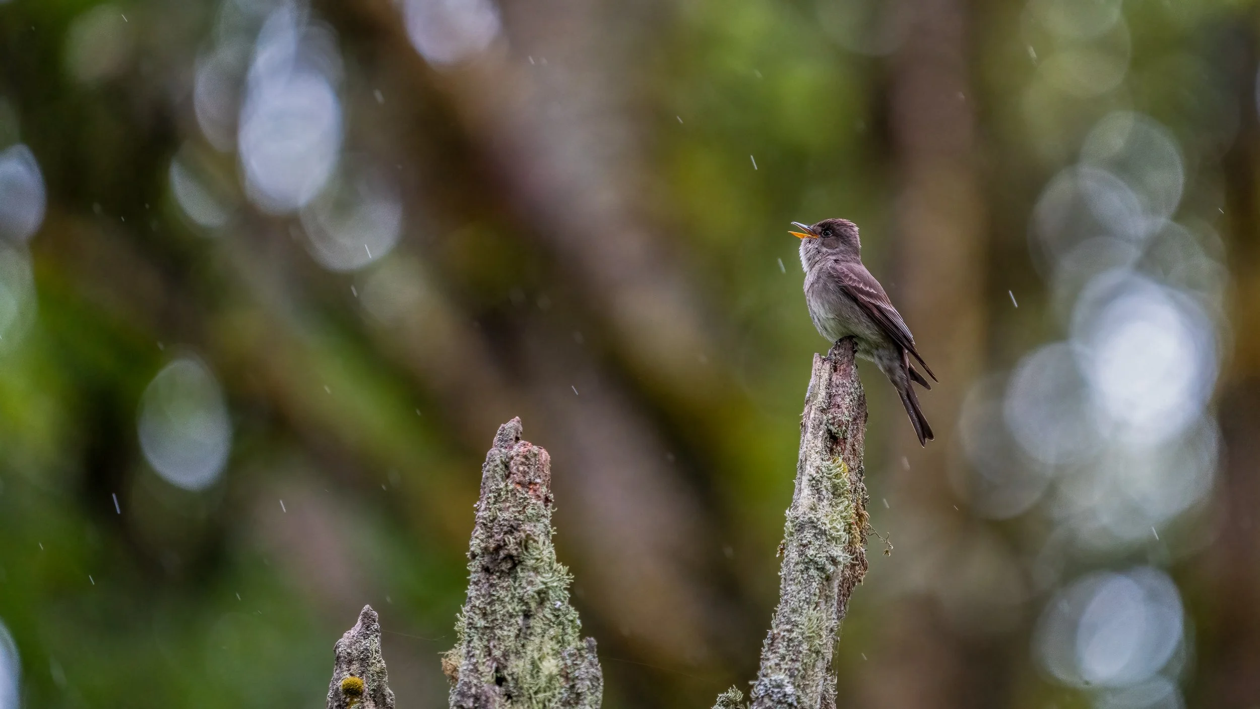 Maxwell Fishback Photography (124 of 133) - Copy - Copy.jpg