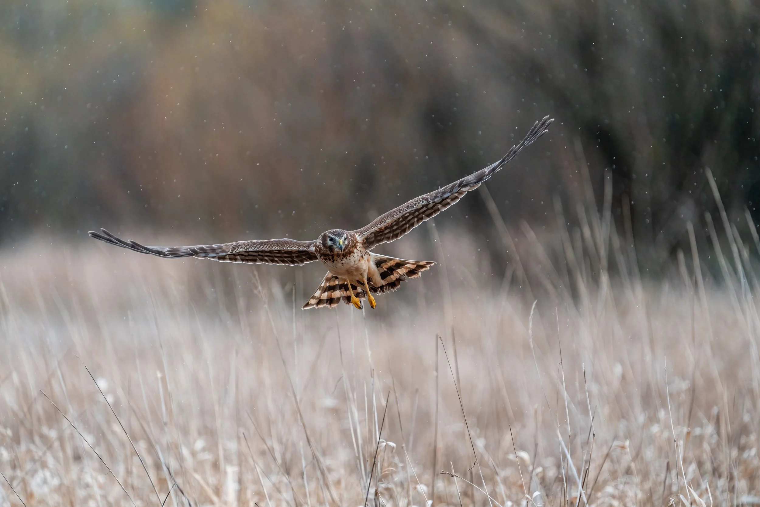 Maxwell Fishback Photography (129 of 133) - Copy - Copy.jpg