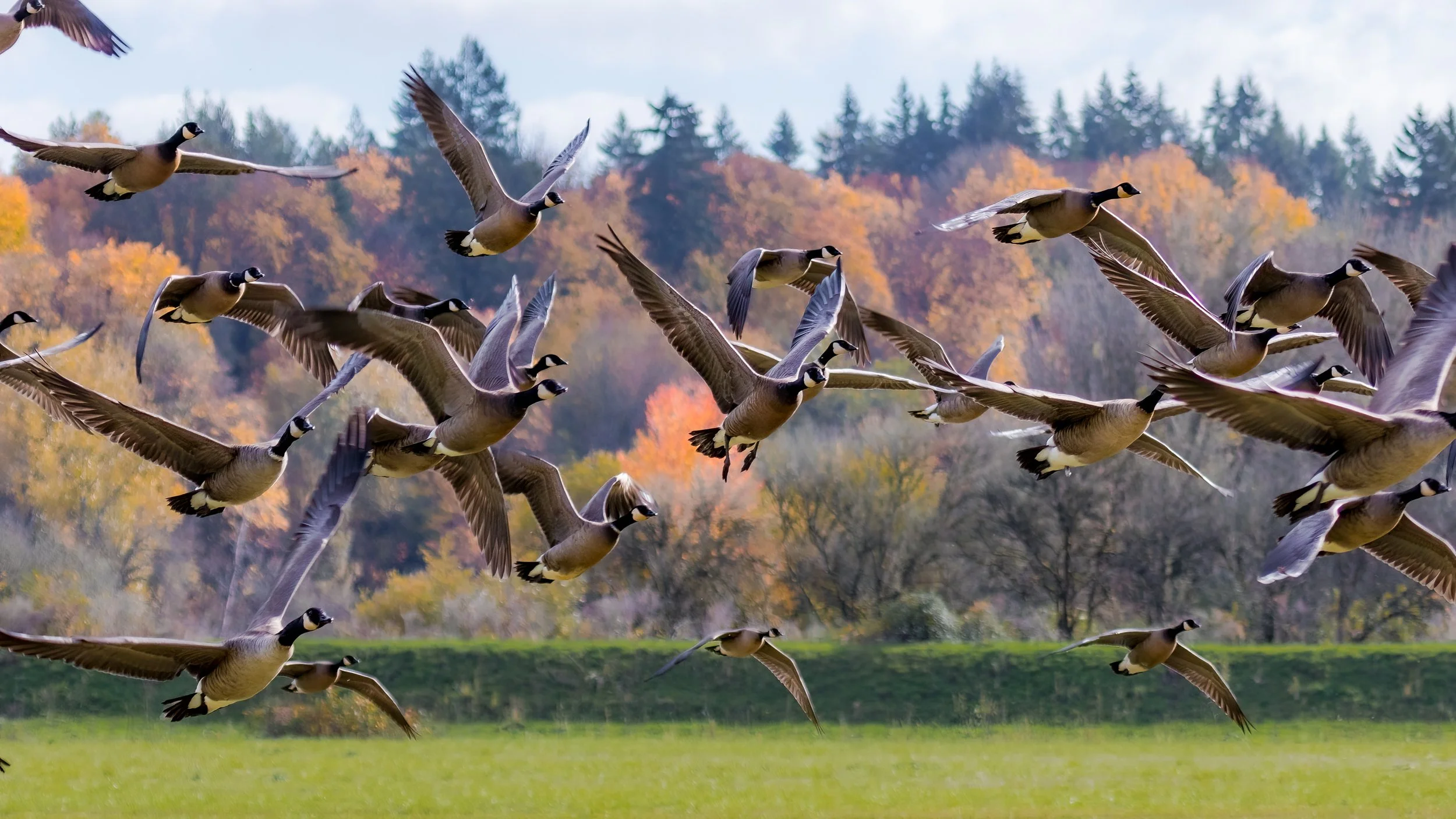 Old Photos new edits-1-8 - Copy - Copy.jpg