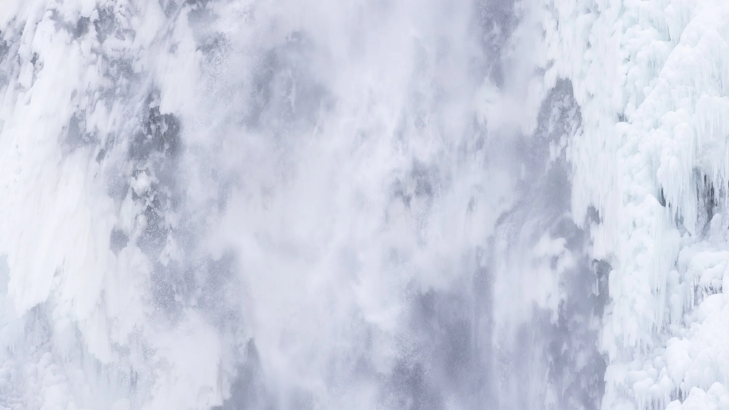 _I8A7448-Enhanced-NR.jpg