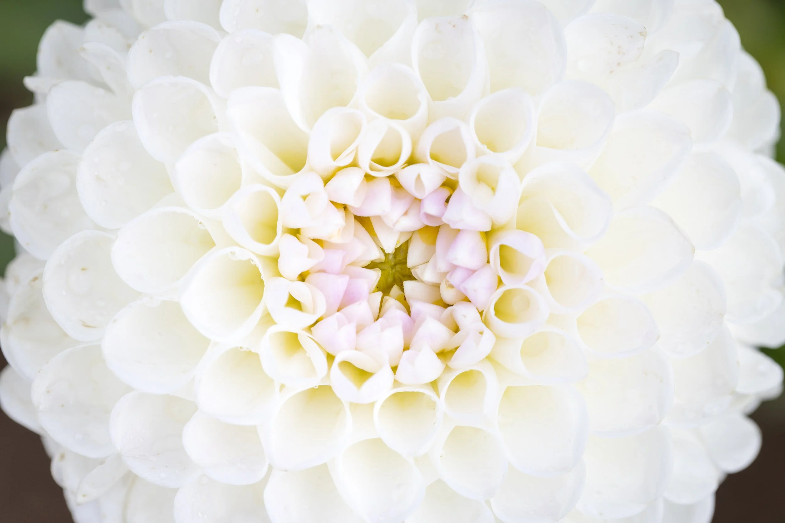 20230904-CI8A1857 - Copy.jpg