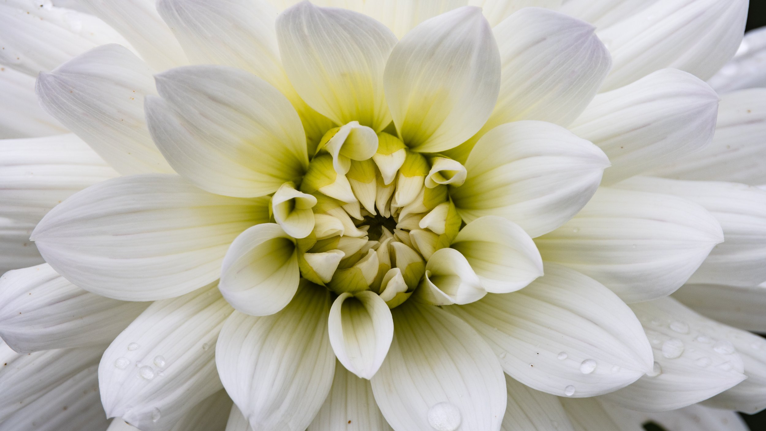 20230904-CI8A1689 - Copy.jpg