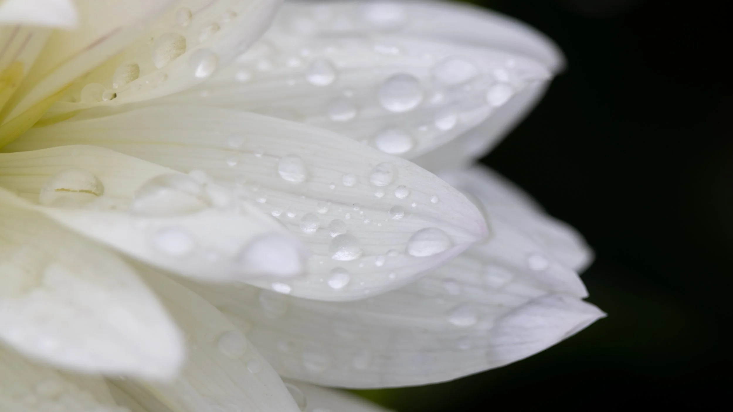 20230904-CI8A1682-2 - Copy.jpg