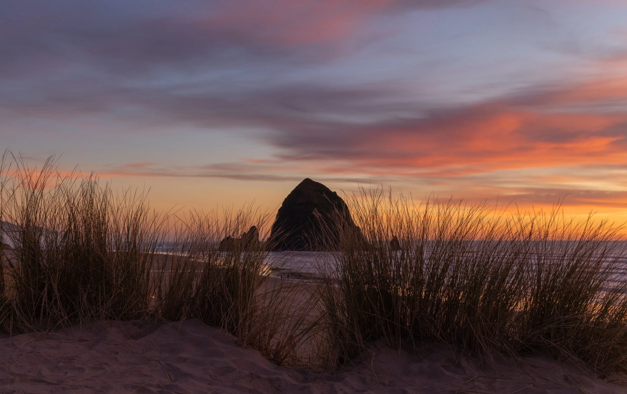 20250122-_I8A7637 - Copy.jpg