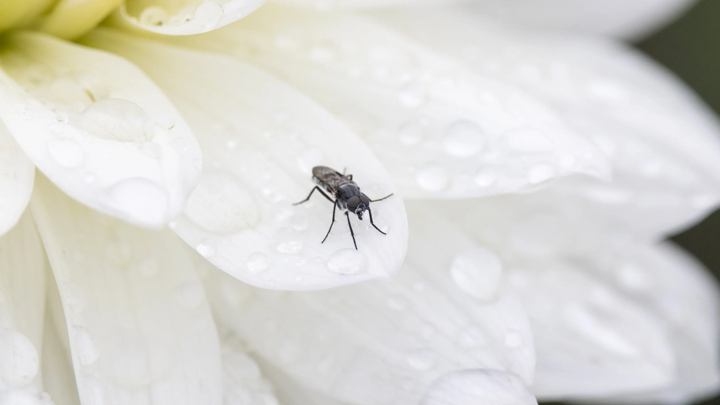 20230904-CI8A1647 - Copy.jpg