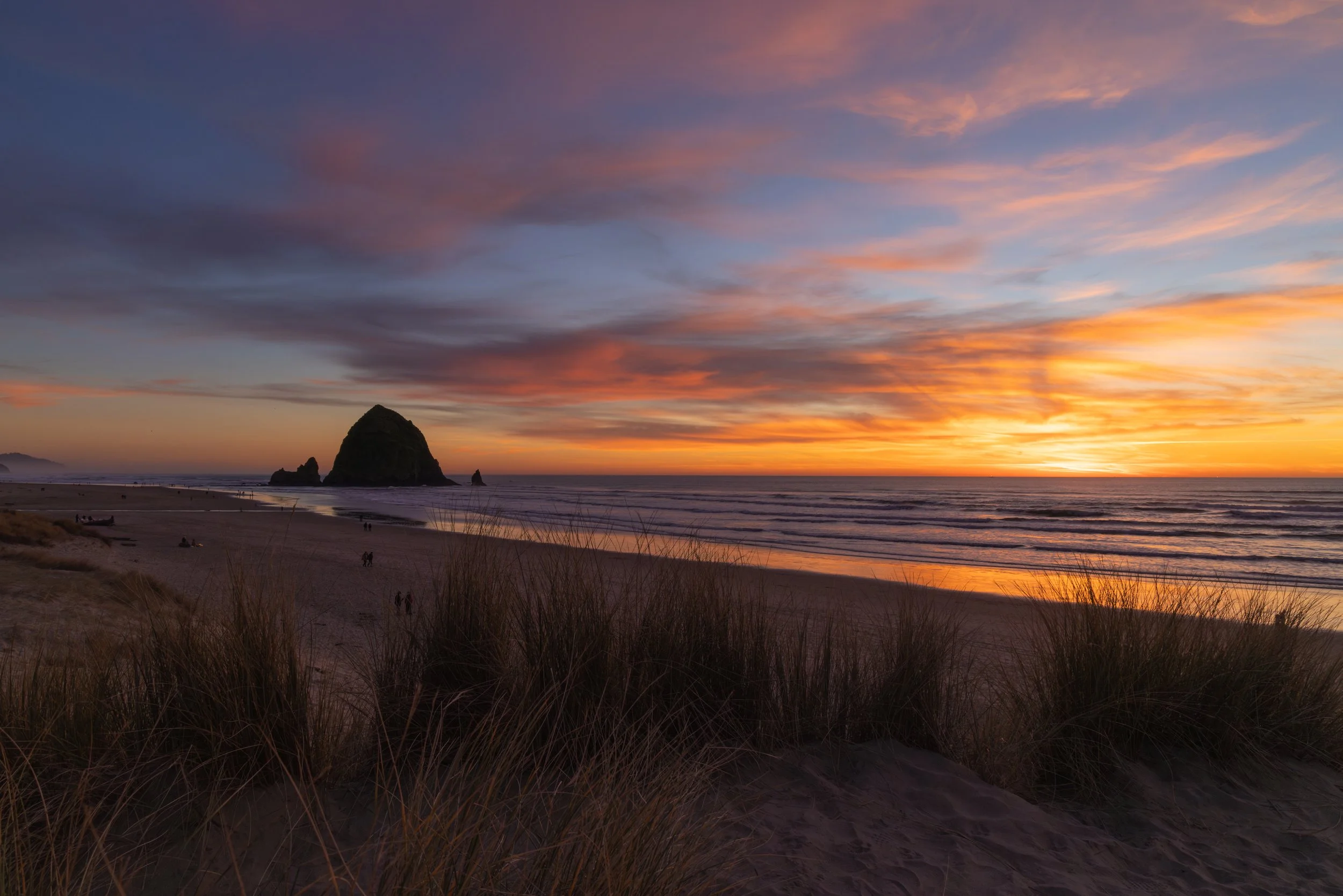 20250122-_I8A7627-Enhanced-NR - Copy.jpg