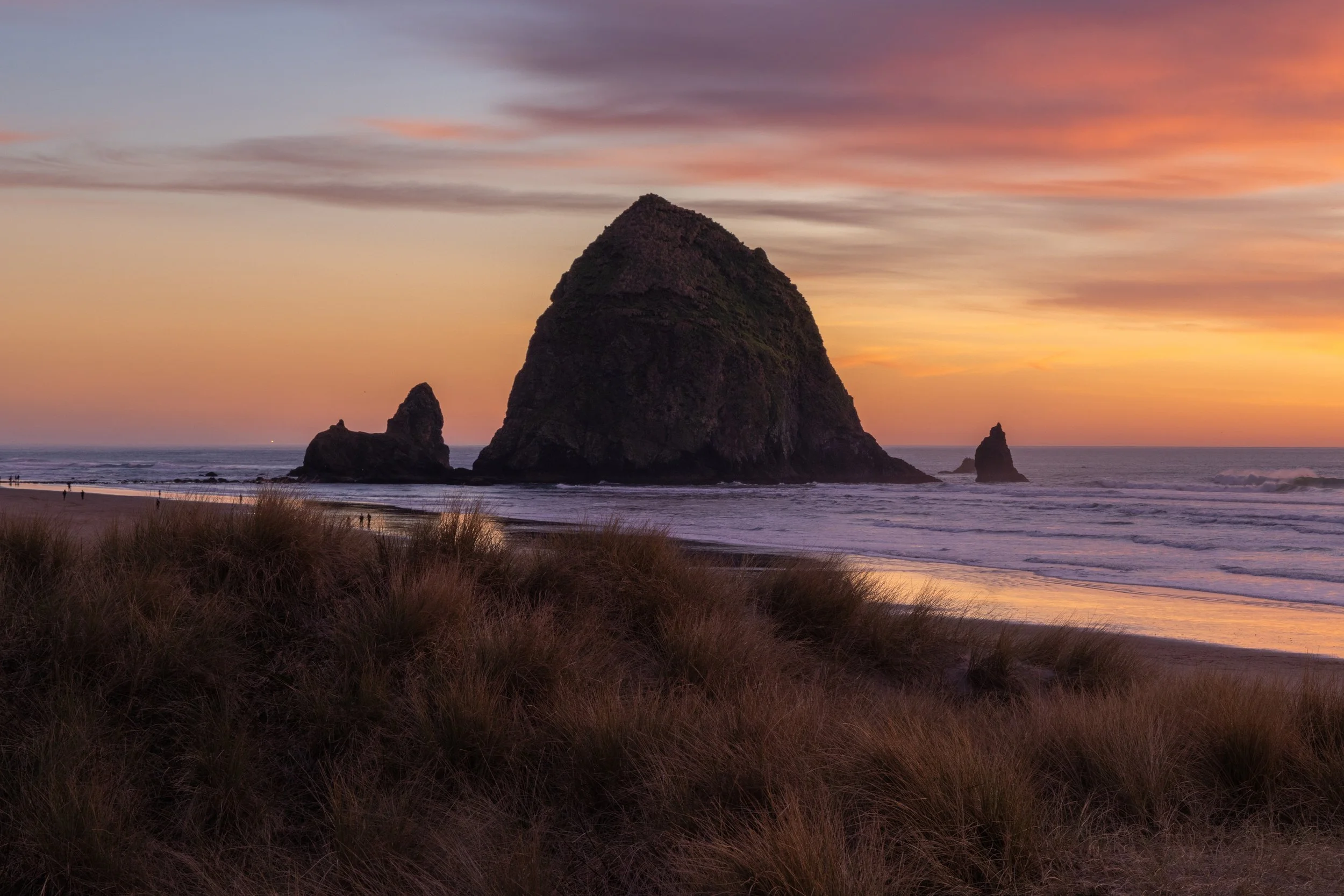 20250122-_I8A7613-Edit - Copy.jpg