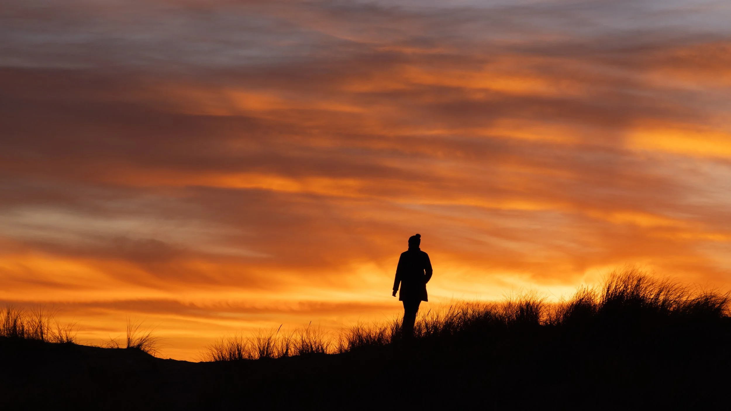 20250122-_I8A7608 - Copy.jpg