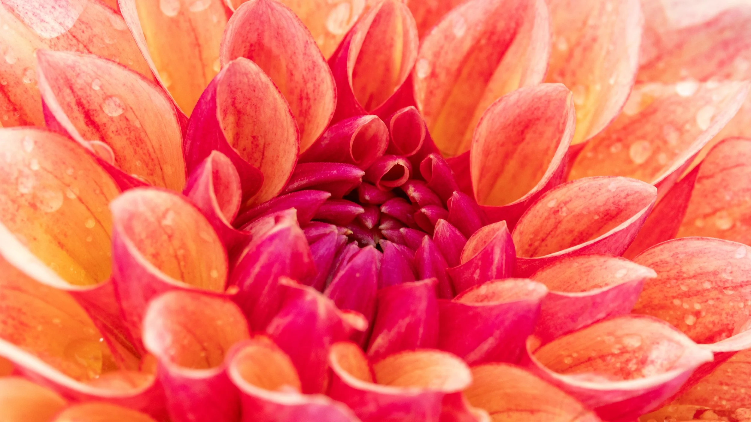 20230904-CI8A1492 - Copy.jpg